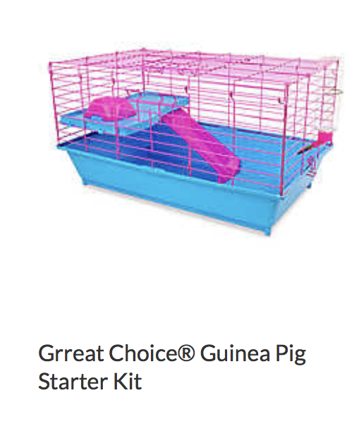 all things living guinea pig cage