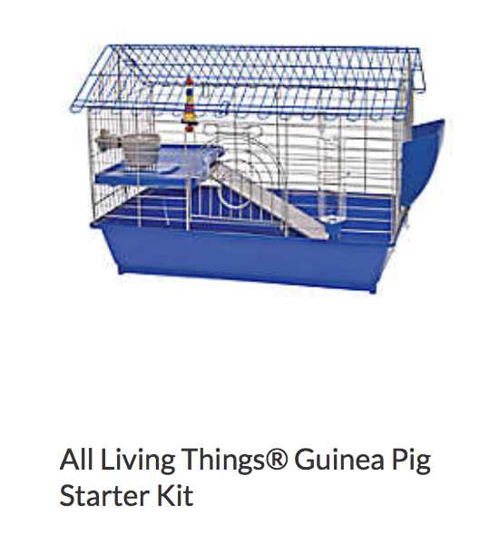 All Living Things Guinea Pig Starter Kit - Not appropriate size wise for rats. Appropriate as a carrier.