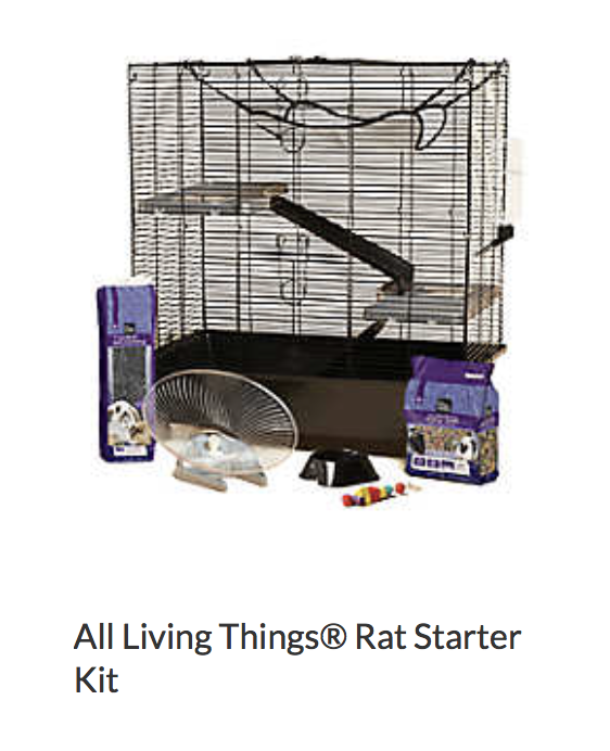 pet rat starter kit