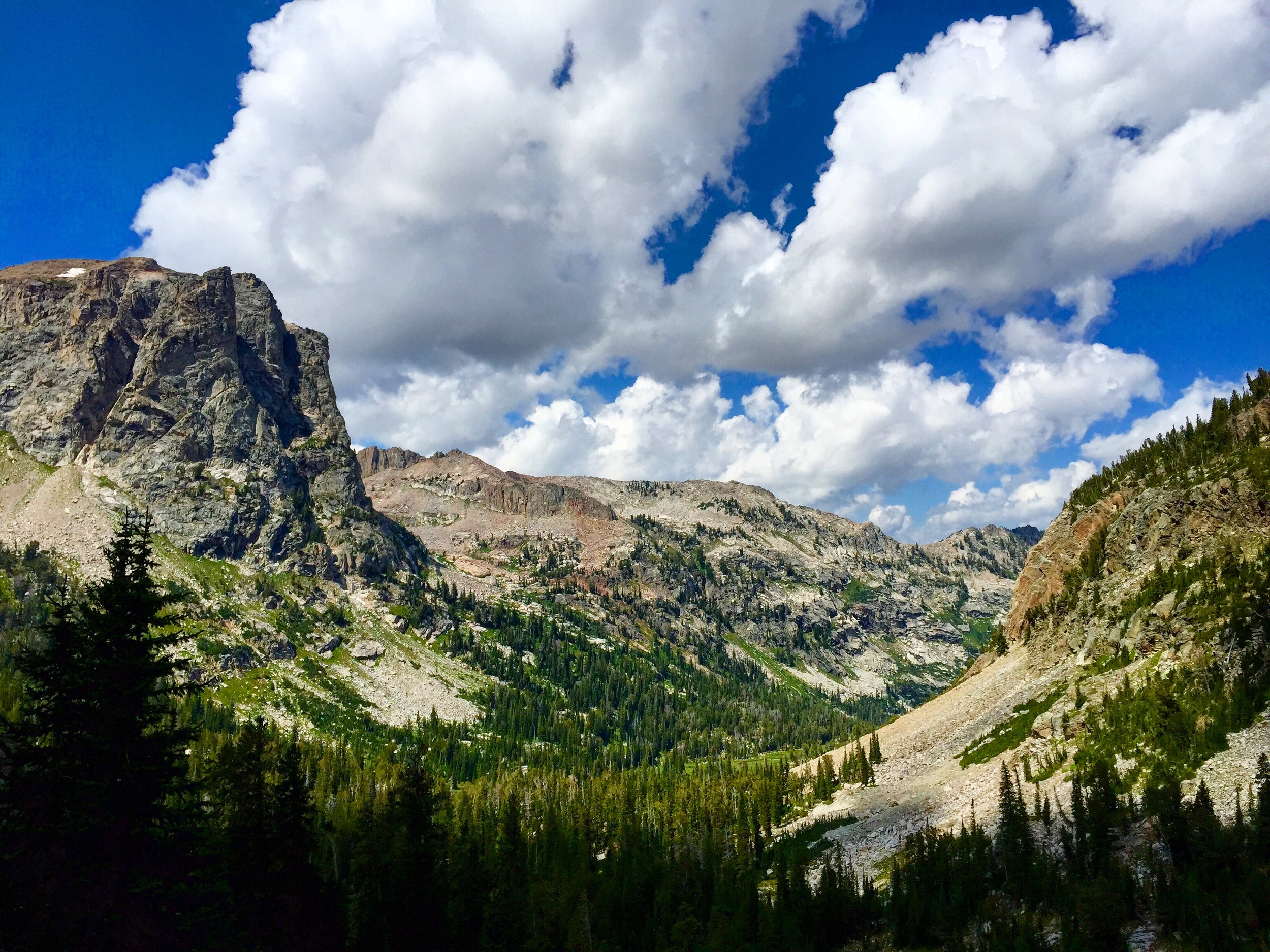 Hiking down South Fork. 