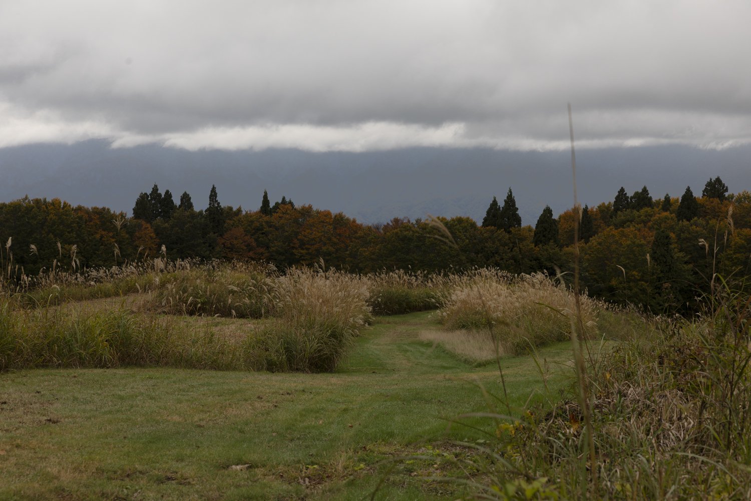 Elizabeth Schiavello Australian Architectural Photographer Melbourne