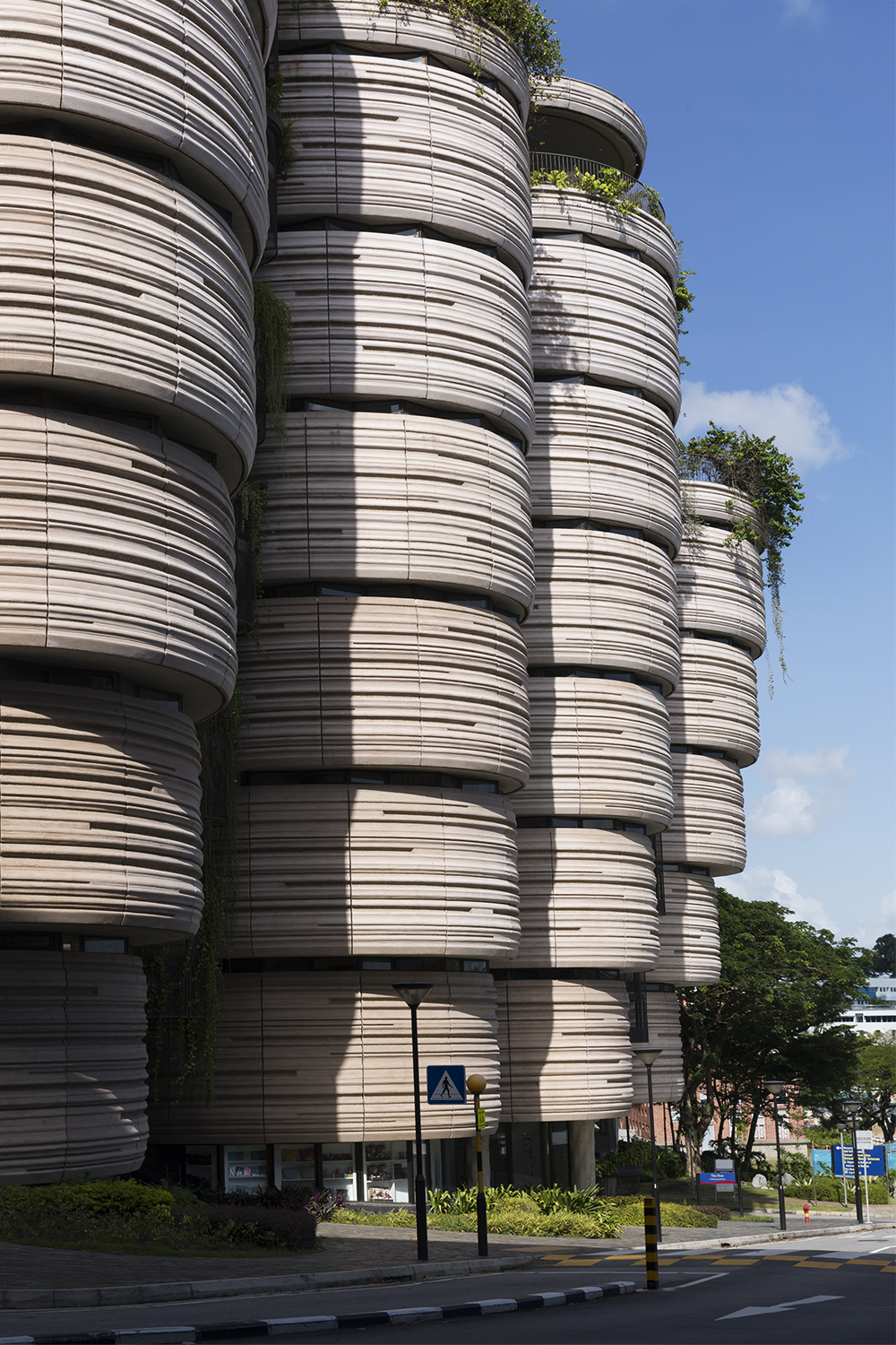  The Hive, Nanyang Technological Univeristy  Heatherwick Studio 