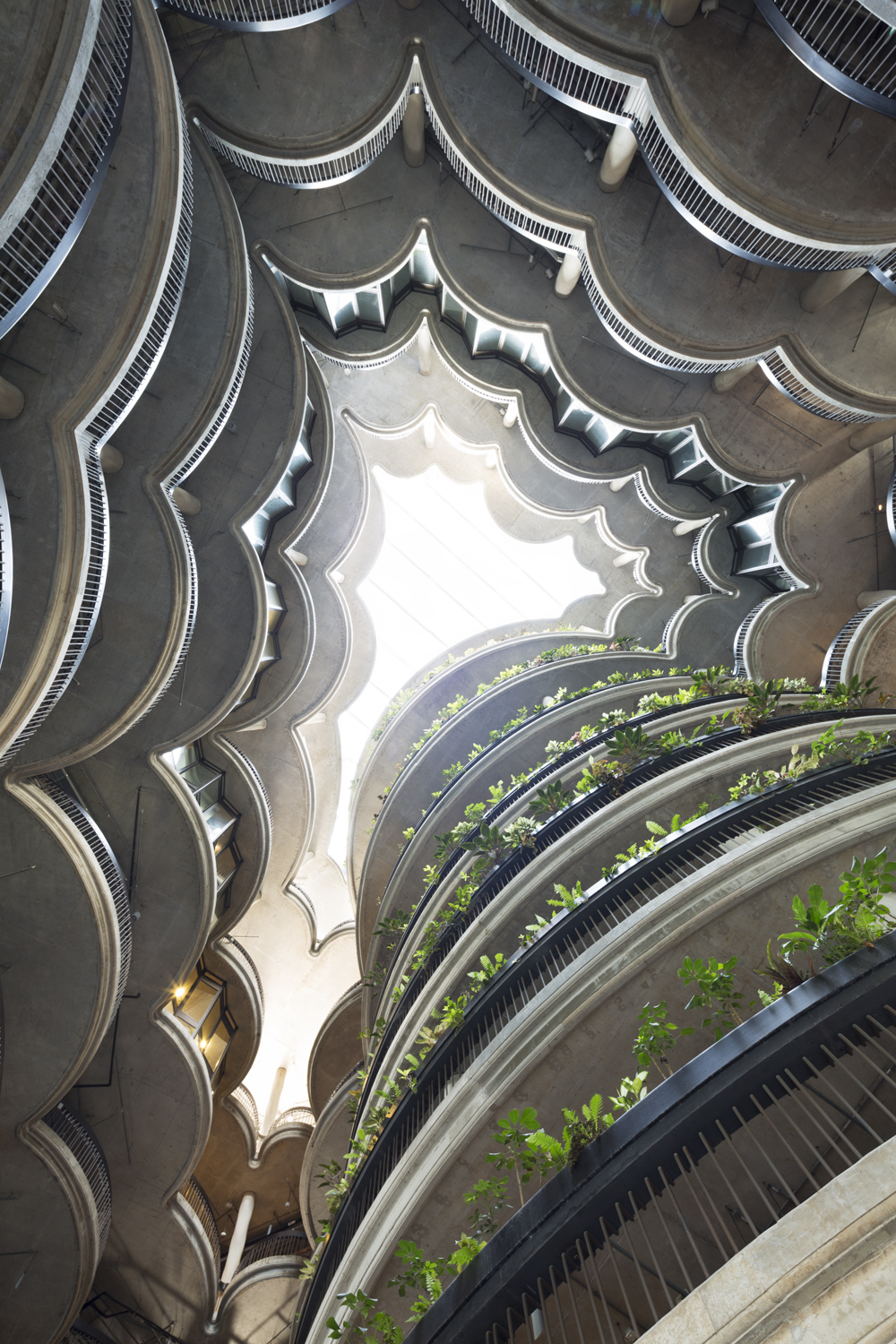  The Hive, Nanyang Technological Univeristy  Heatherwick Studio 