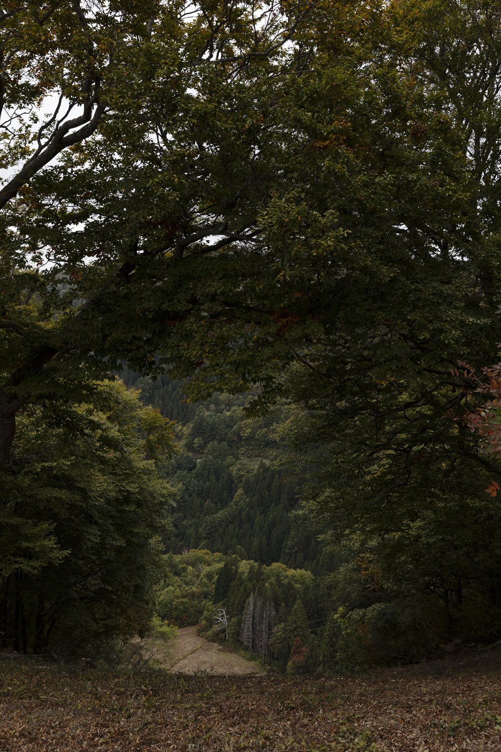 Elizabeth Schiavello Australian Architectural Photographer Melbourne