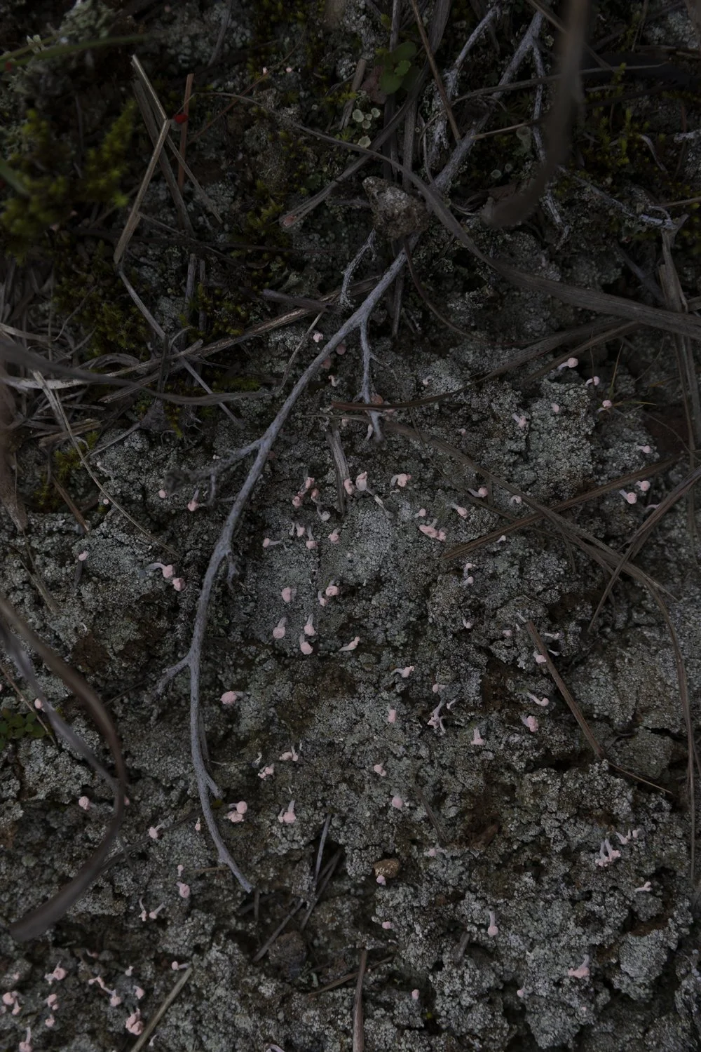 Elizabeth Schiavello Australian Architectural Photographer Melbourne