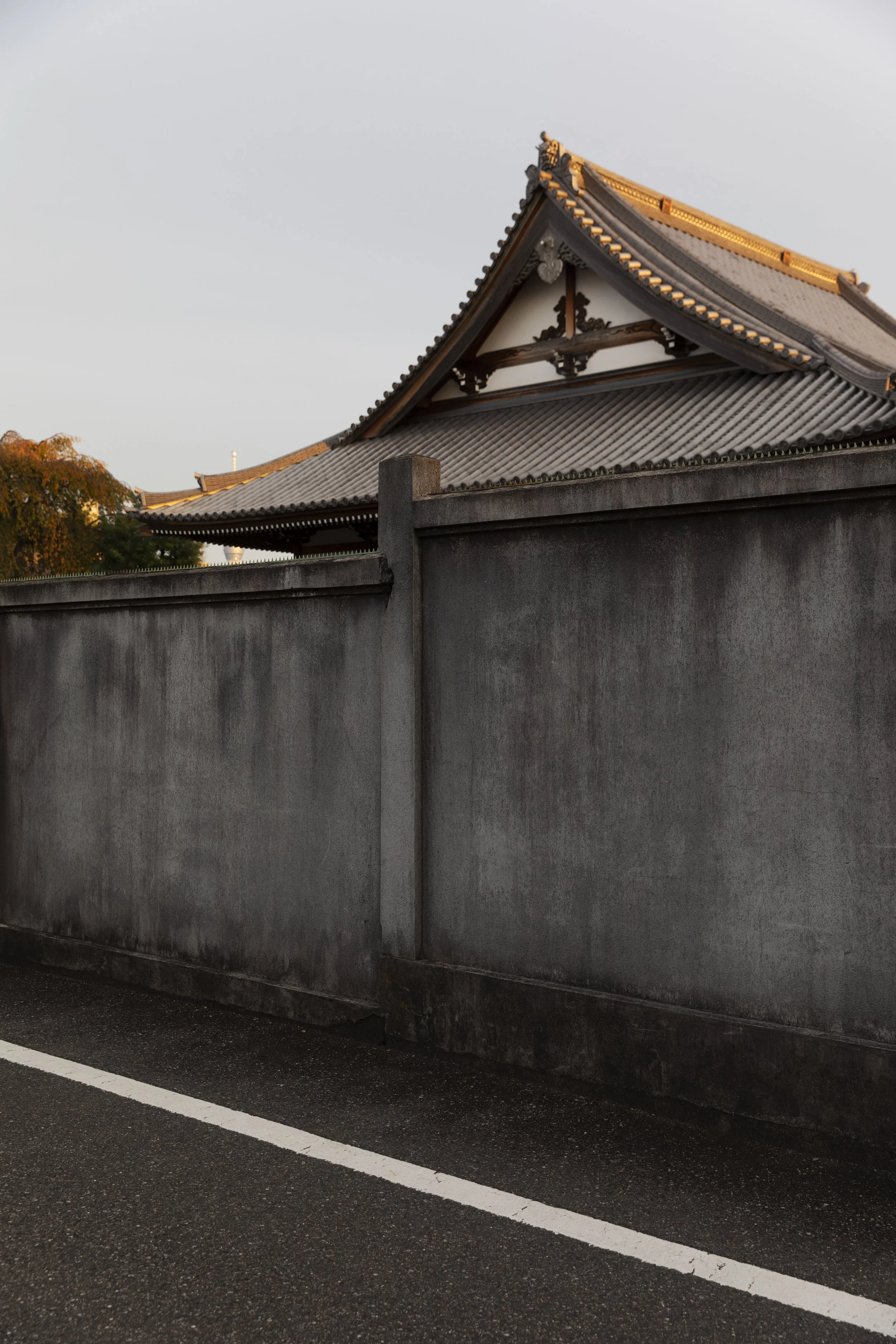 Elizabeth Schiavello Australian Architecture Photographer Melbourne