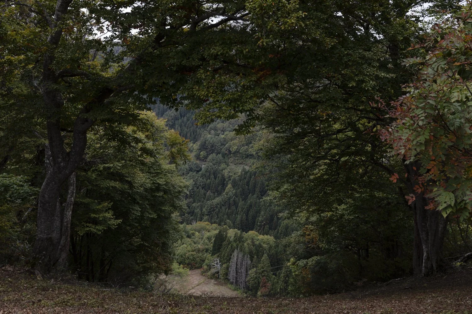 Elizabeth Schiavello Australian Architectural Photographer Melbourne