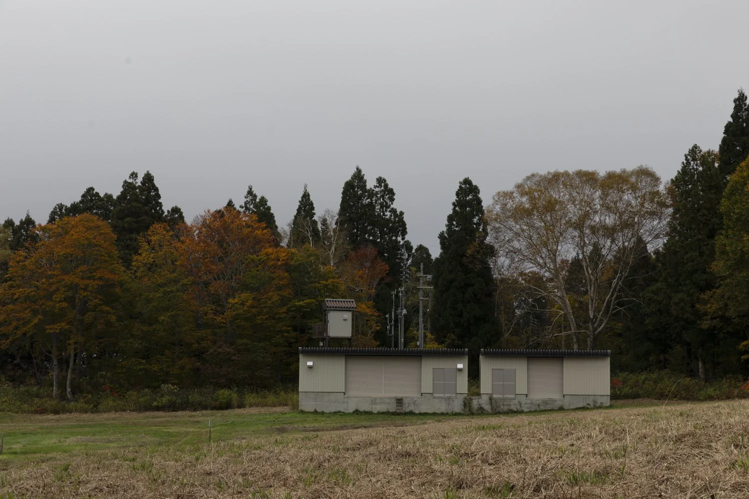 Elizabeth Schiavello Australian Architectural Photographer Melbourne