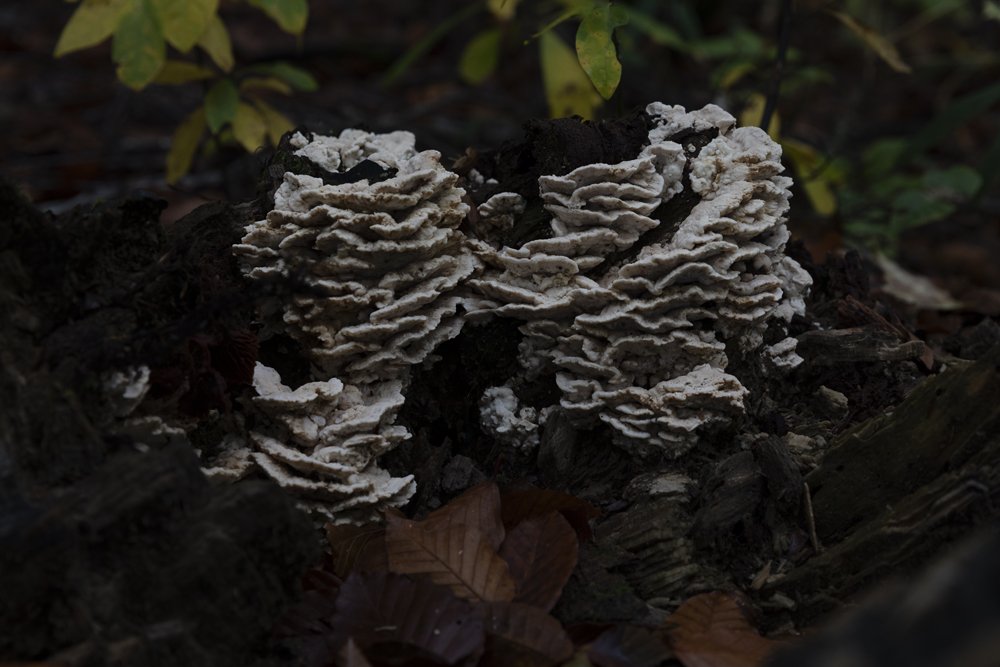 Elizabeth Schiavello Australian Architectural Photographer Melbourne