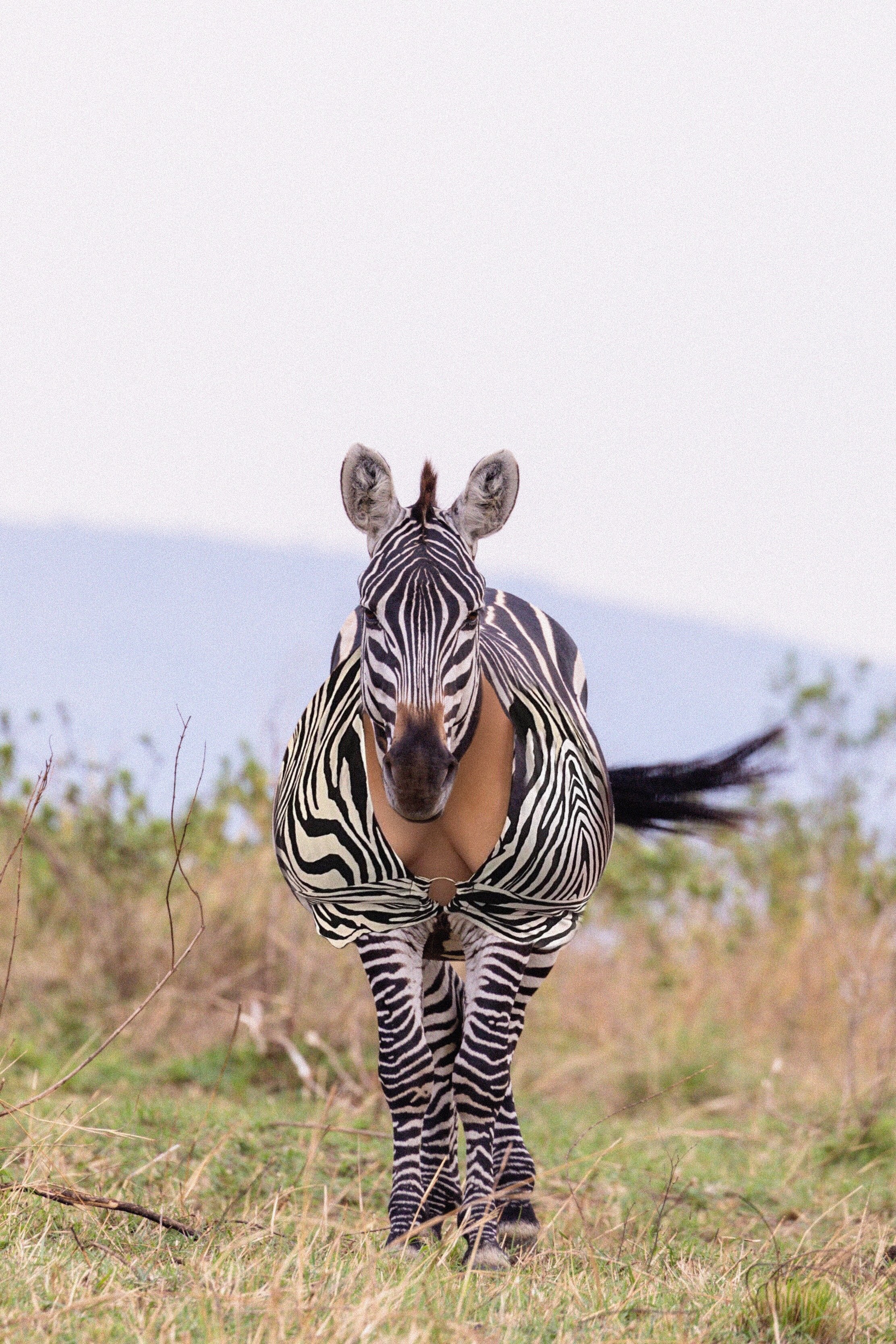 Untitled_Artwork 4.JPG