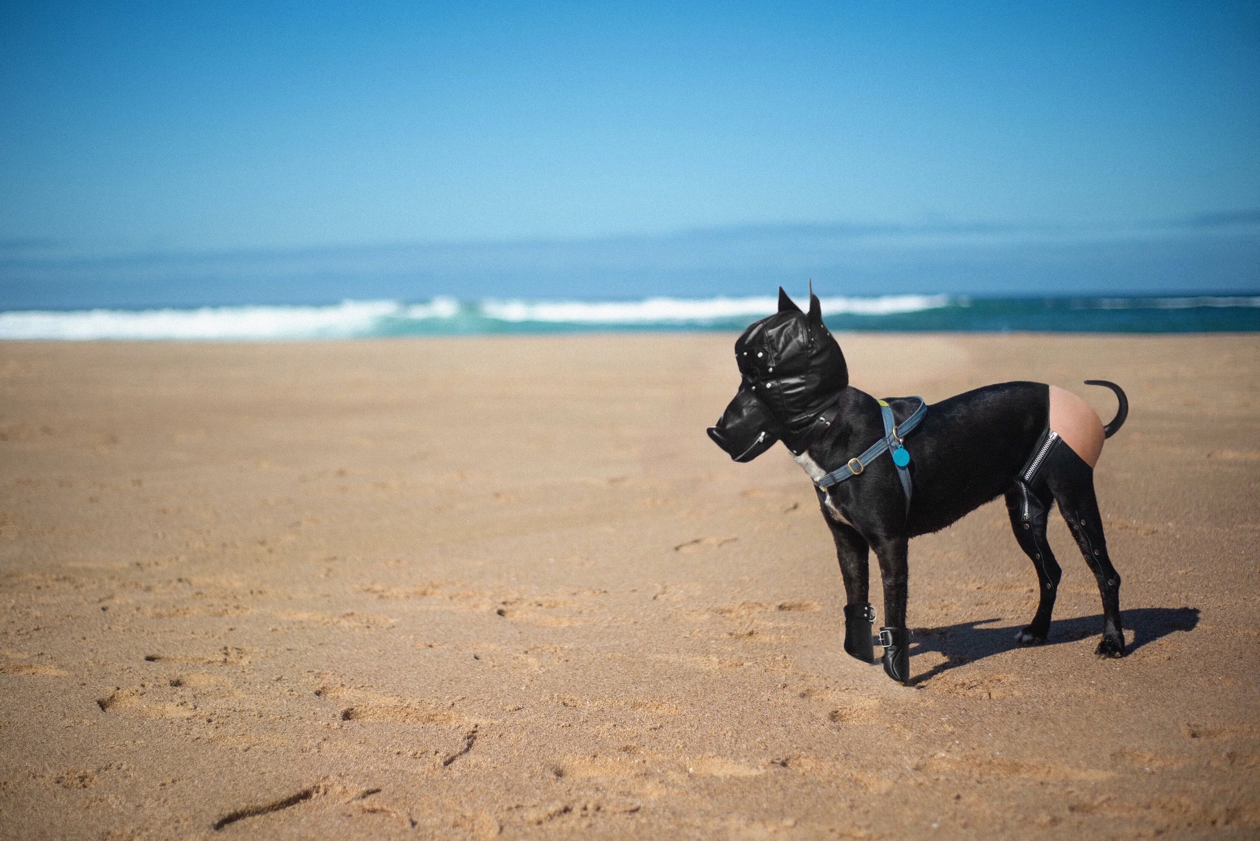 Untitled_Artwork 5 copy.JPG