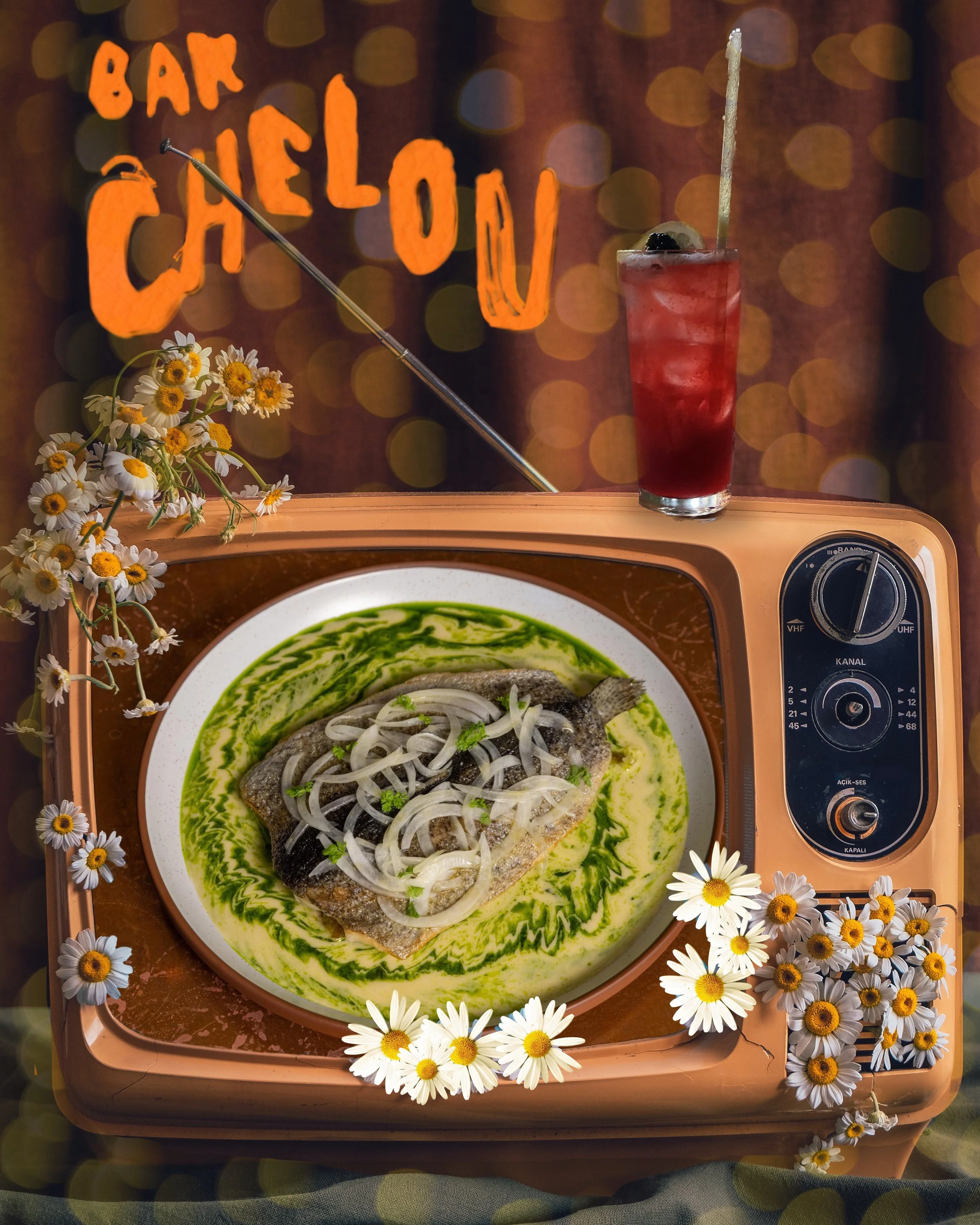 PicfxFile 5 copy.JPG