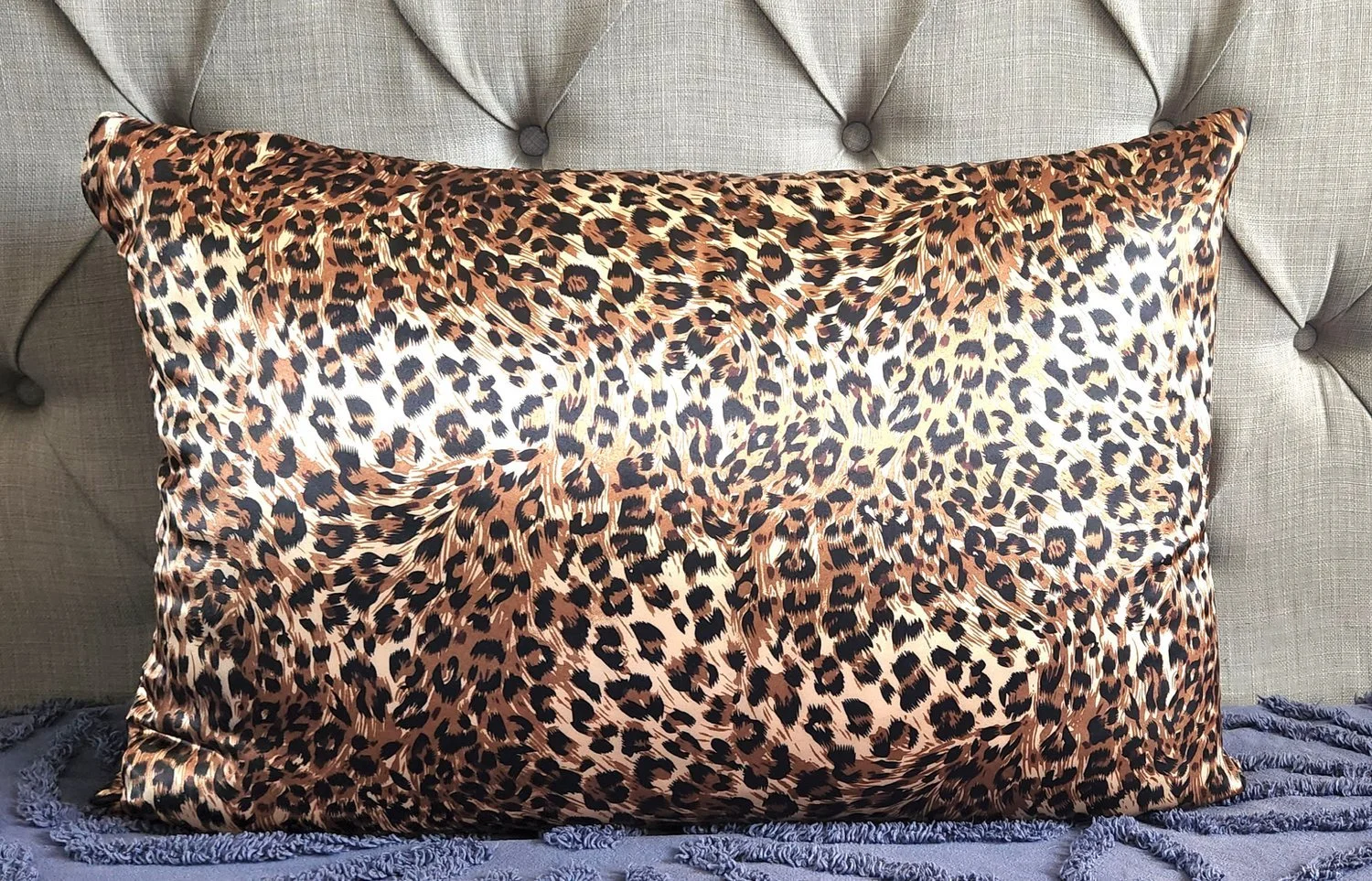 Cheetah.jpeg