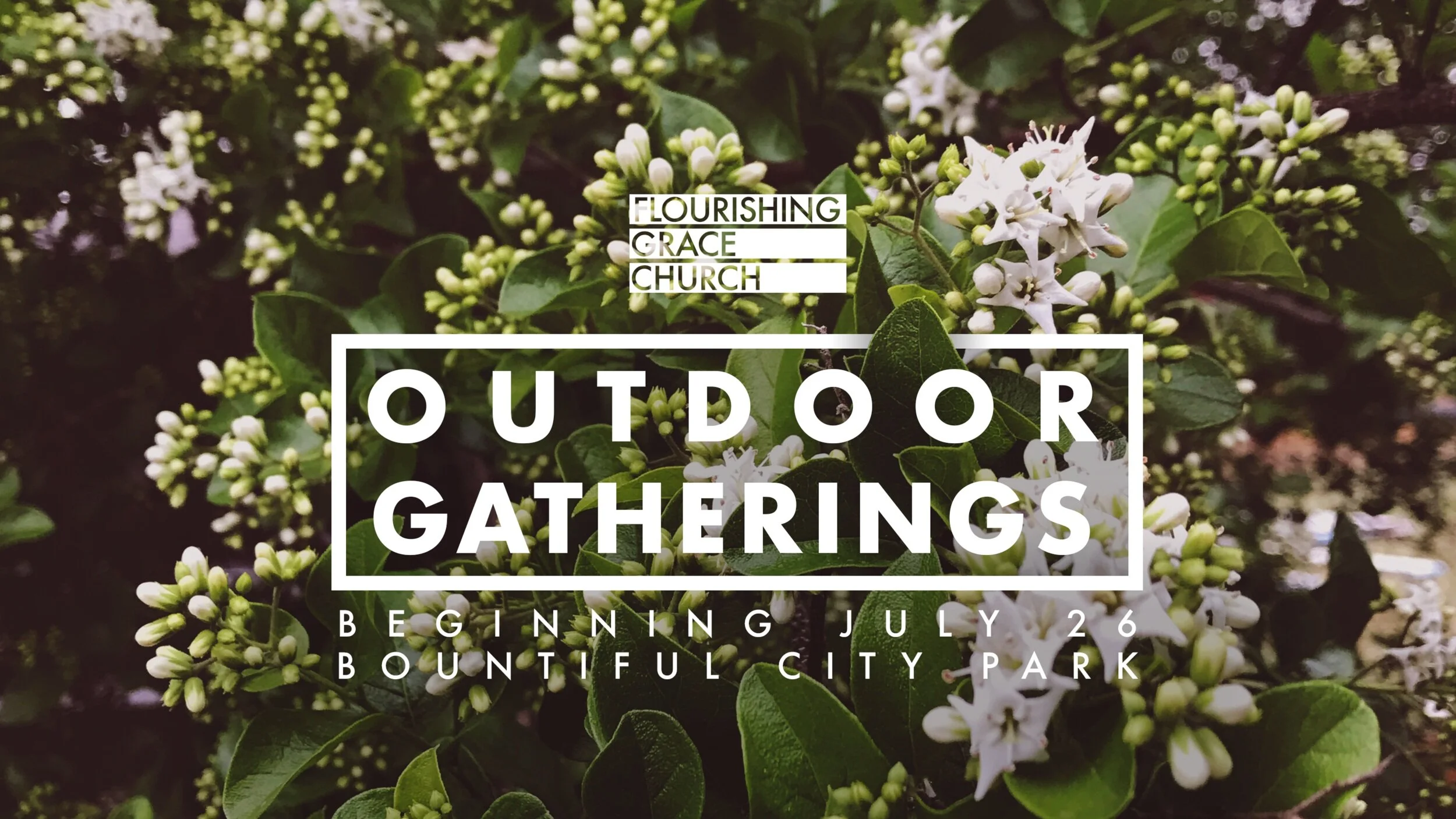 Outdoor Gatherings