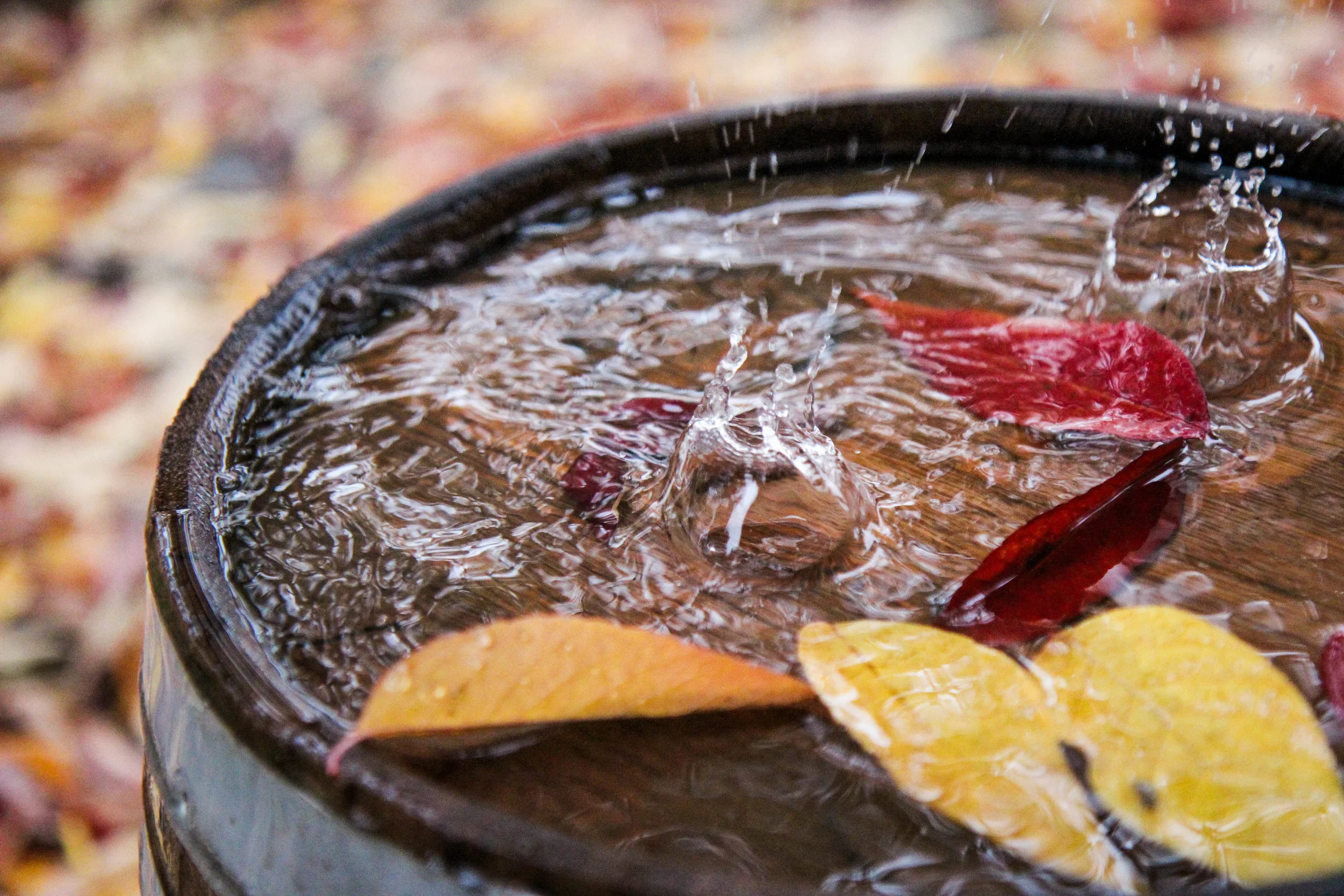 Double F Ranch Meat CSA My Share