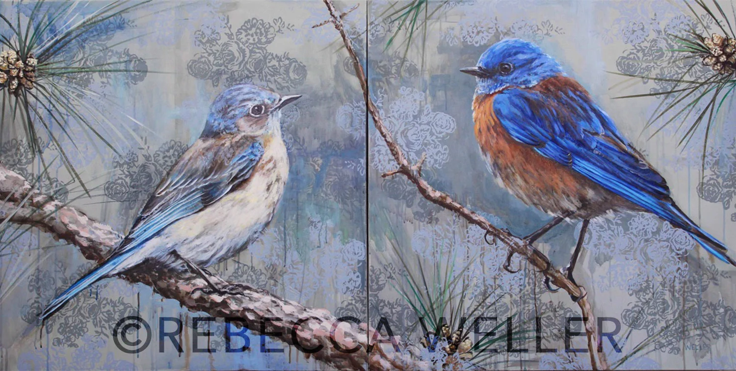 Bluebird Pair