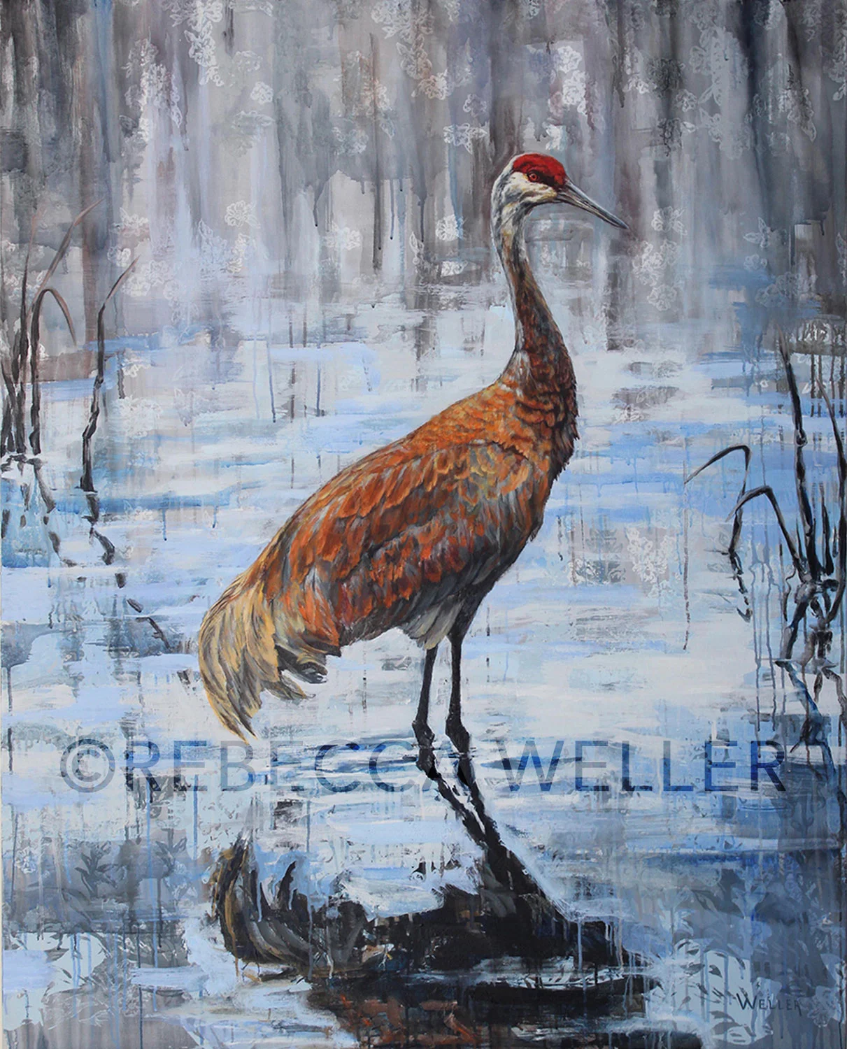 Sandhill Crane