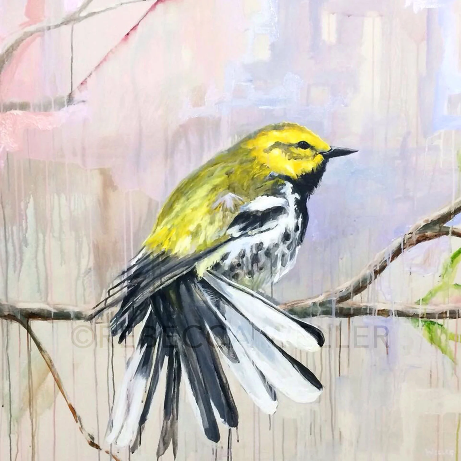 Yellow Bird