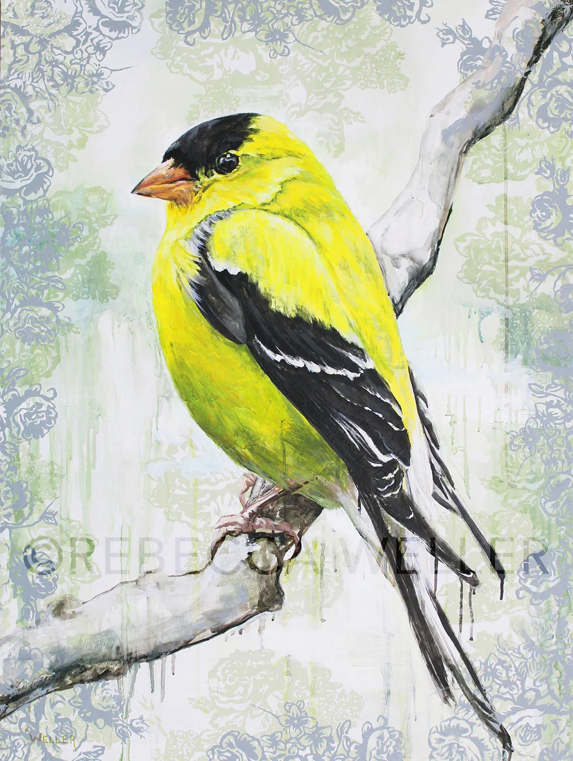 Goldfinch