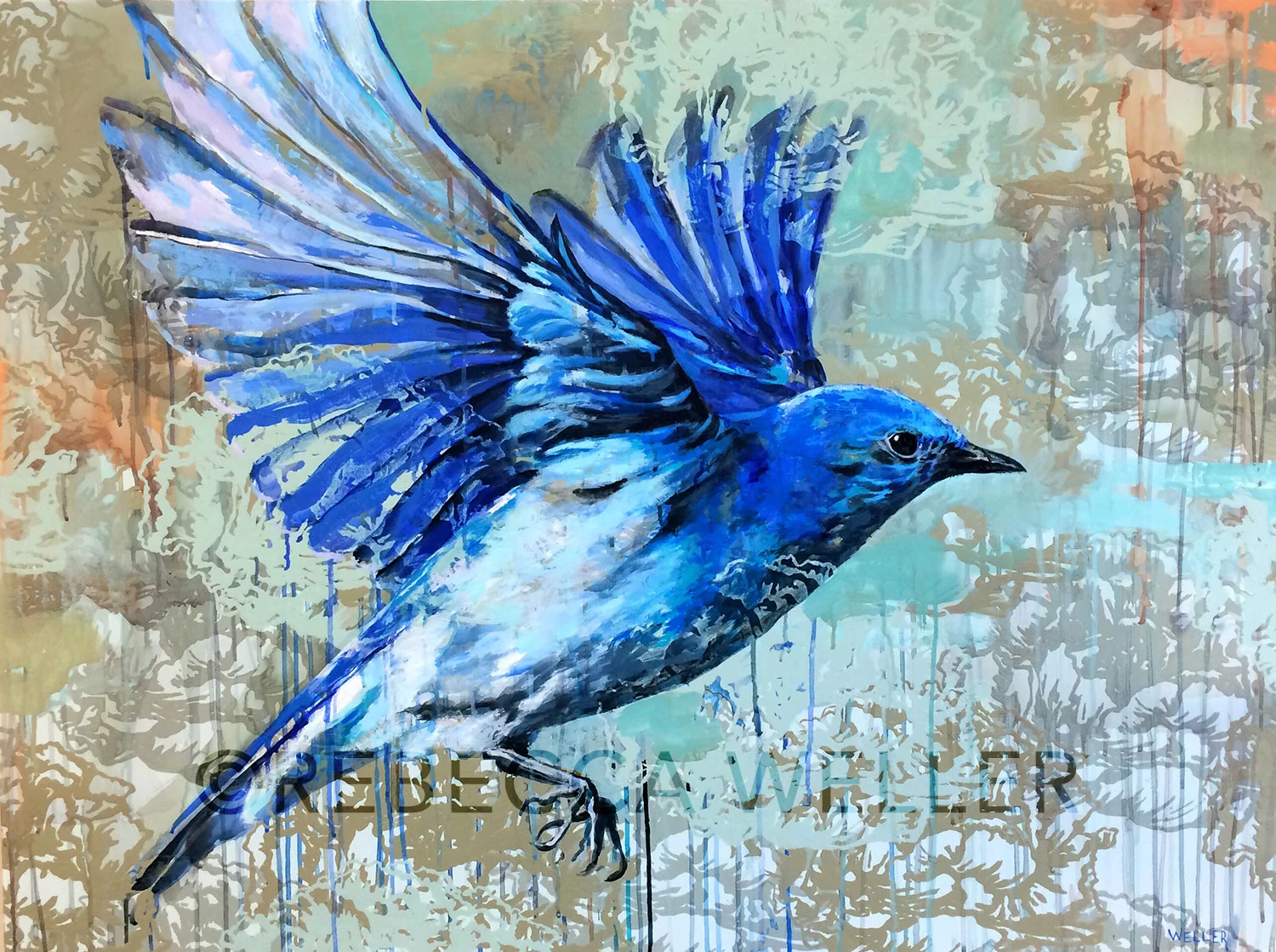 Bluebird Flying