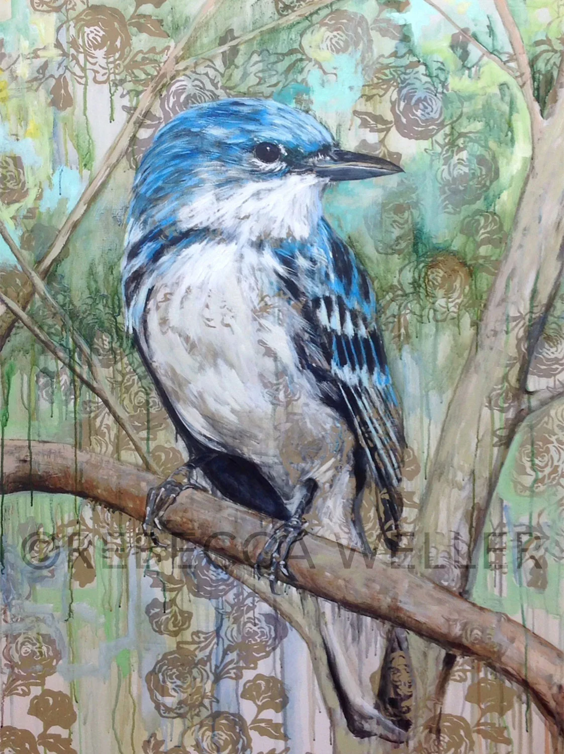 CERULEAN WARBLER