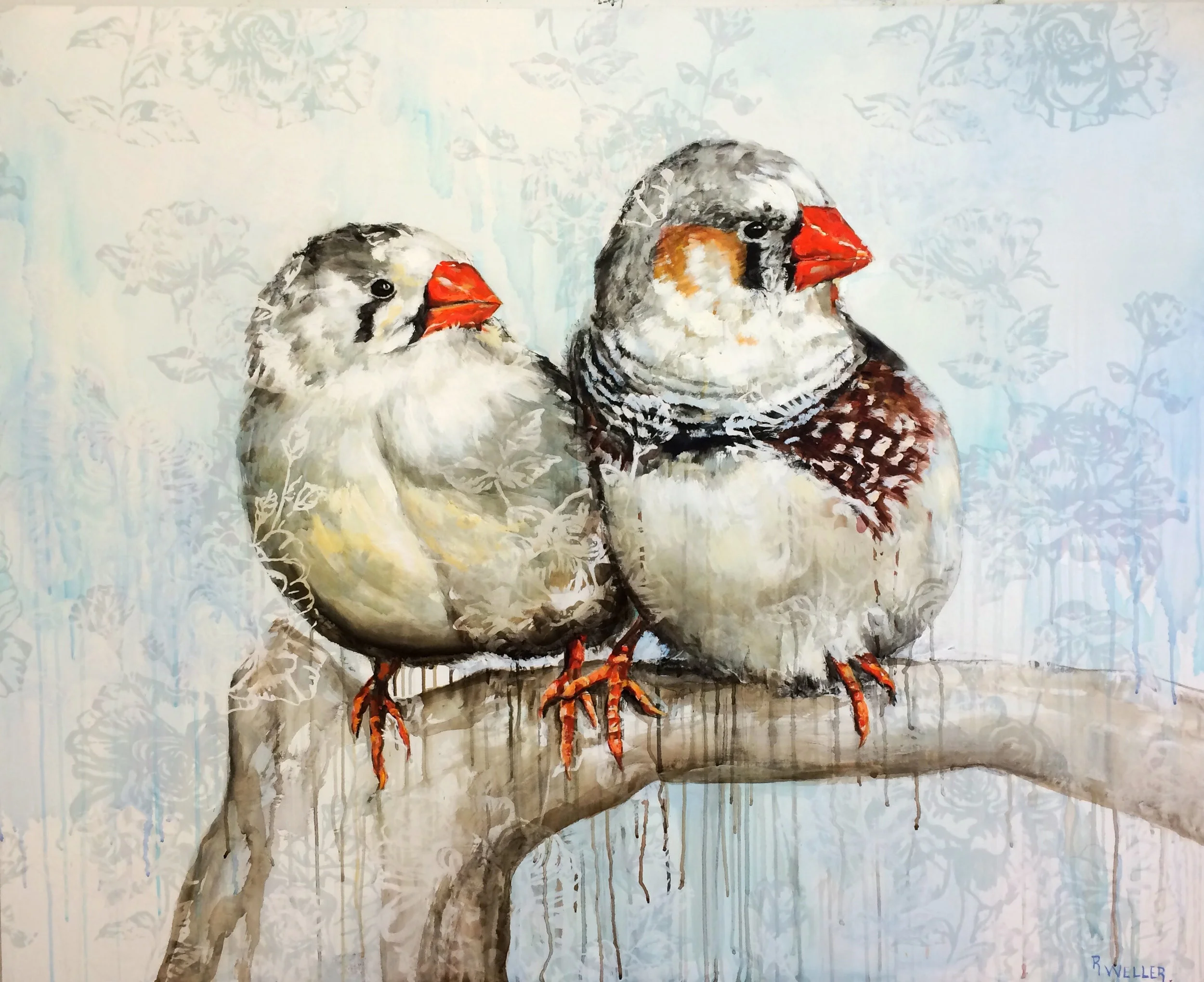 Spice Finch Pair