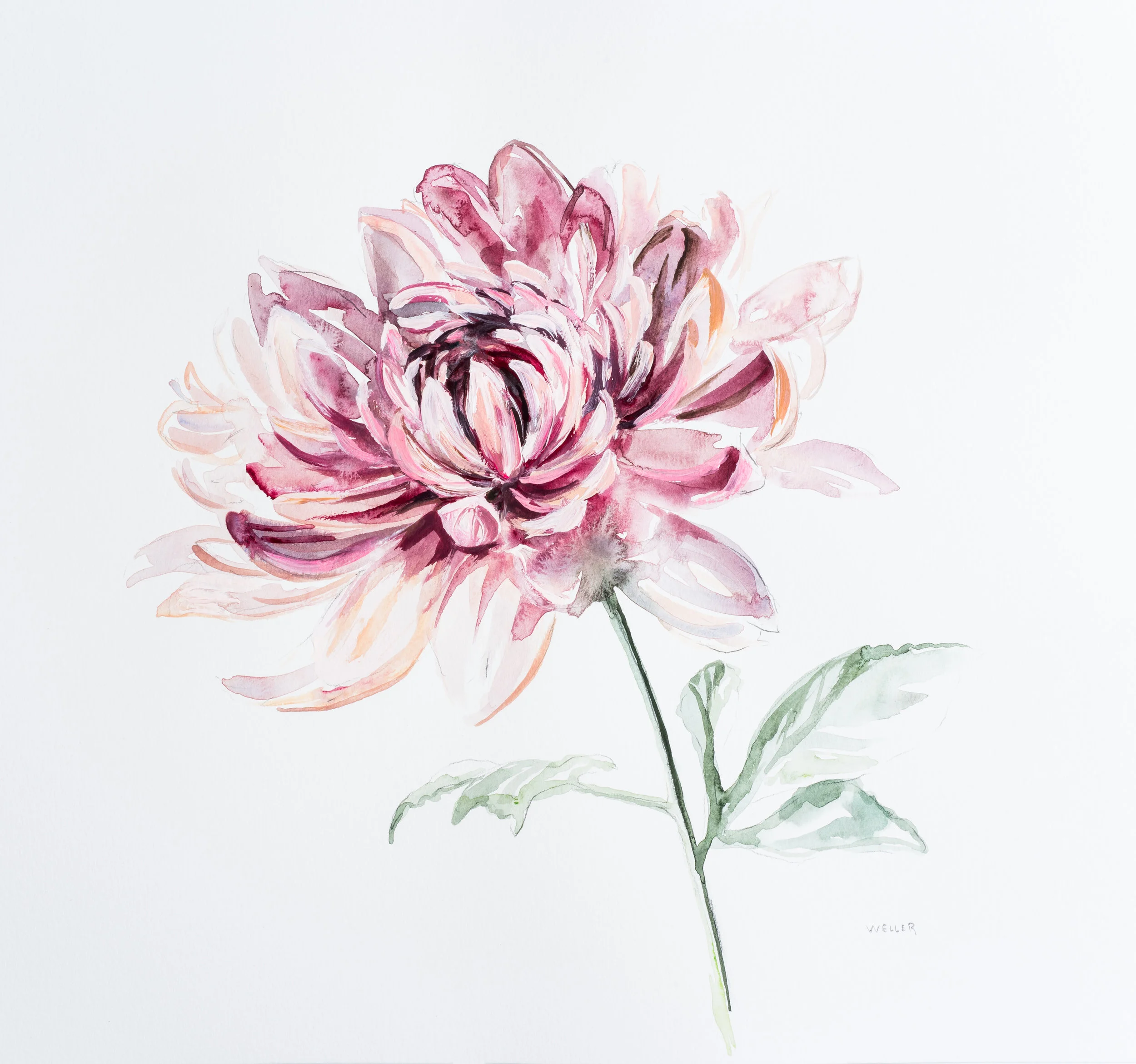 Dahlia 18x18" Acrylic on paper Sold