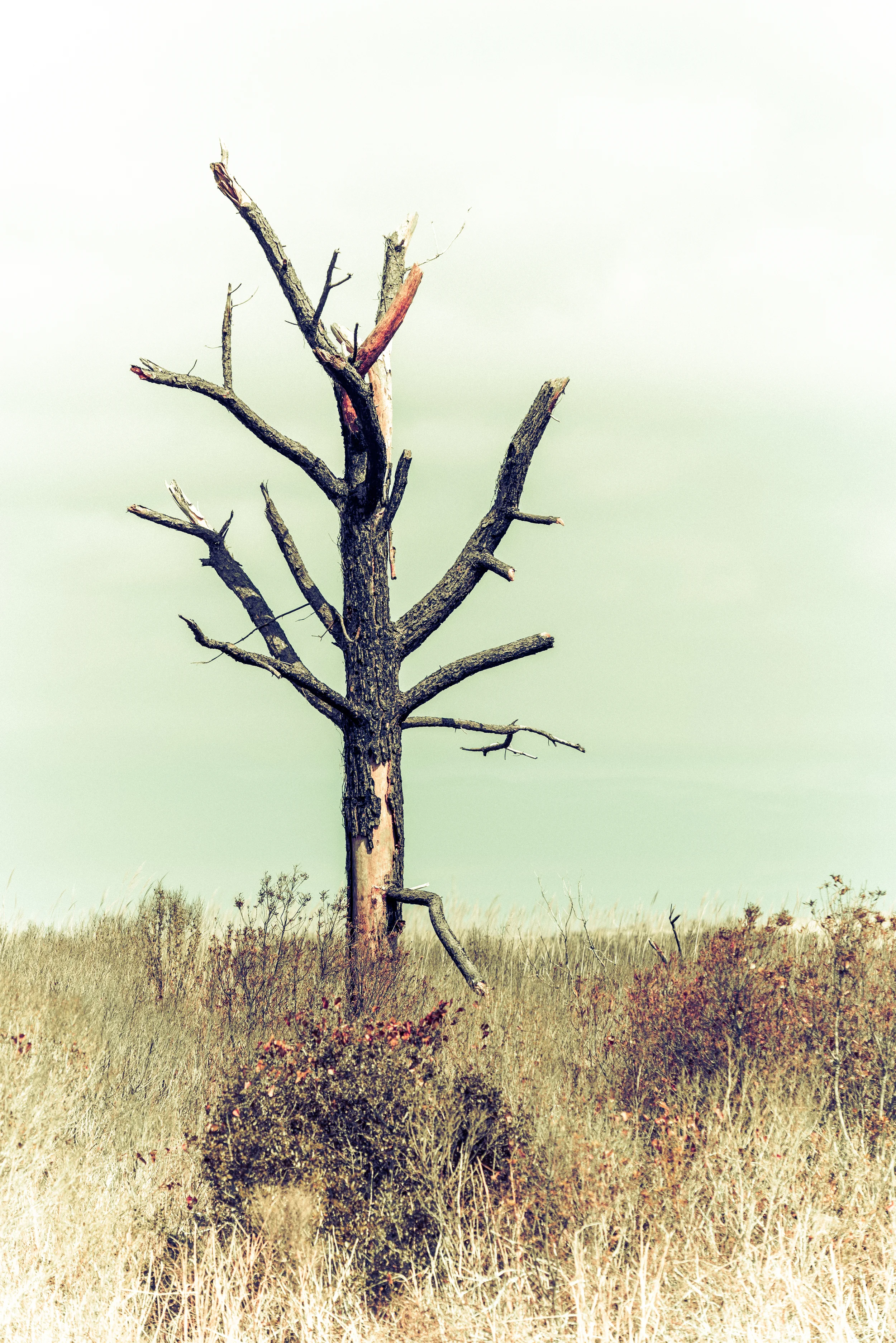 obx_sbreak-(113-of-114).jpg