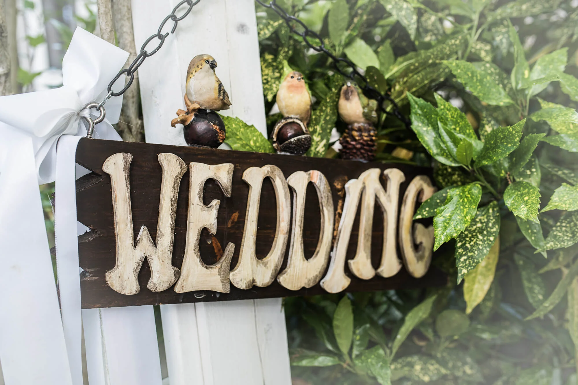wedding_lowres-15.jpg