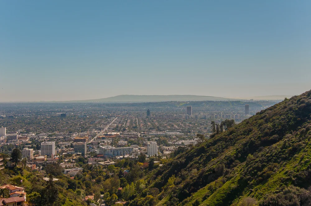 2407CarmanCrest-037-web.jpg