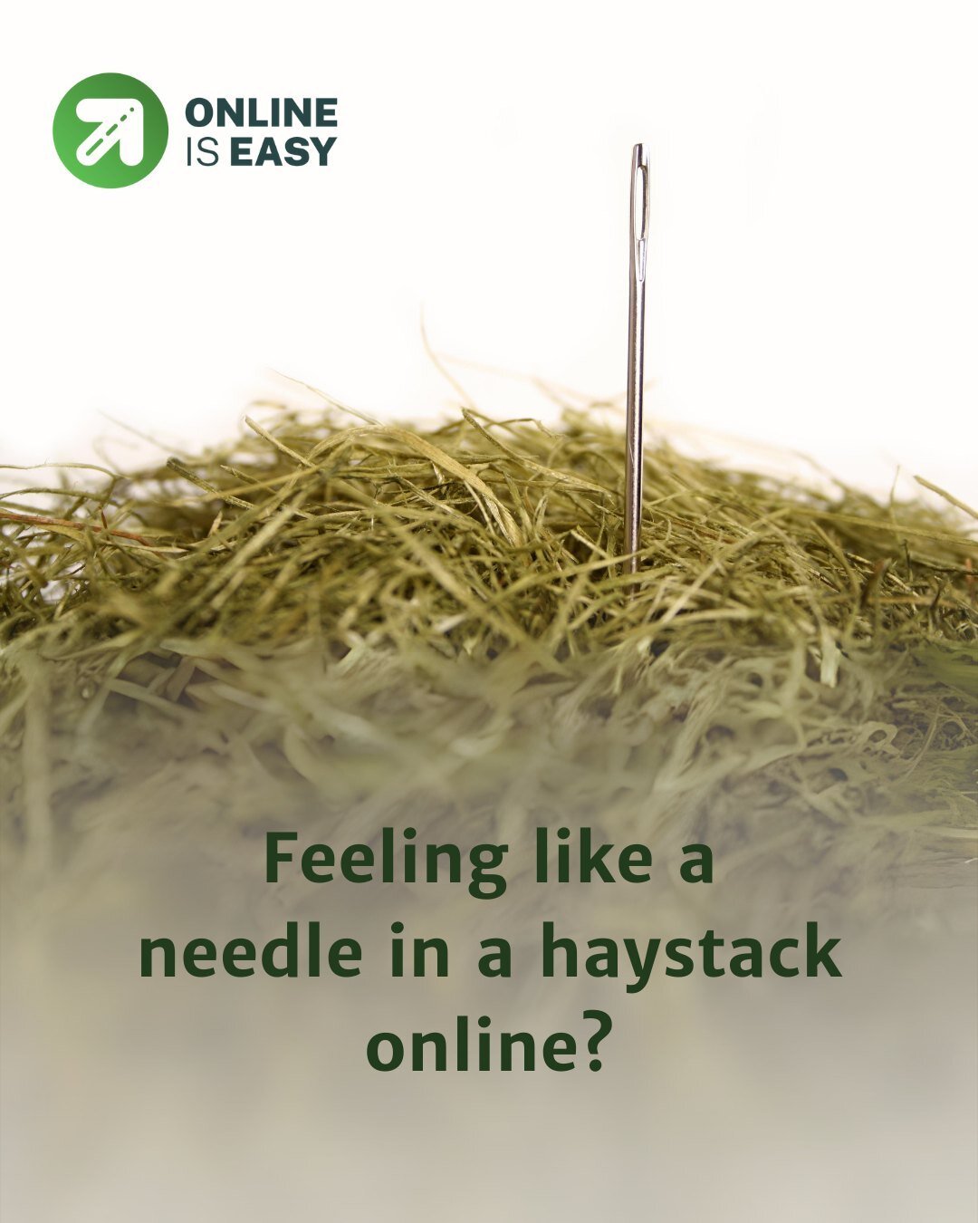Feeling like a needle in a haystack online? ⁠
⁠
Anyone with access to the internet, has likely heard of SEO, but what is it and what does it actually do for you? ⁠
⁠
Imagine this: You have a fantastic product or service, but your potential customers 