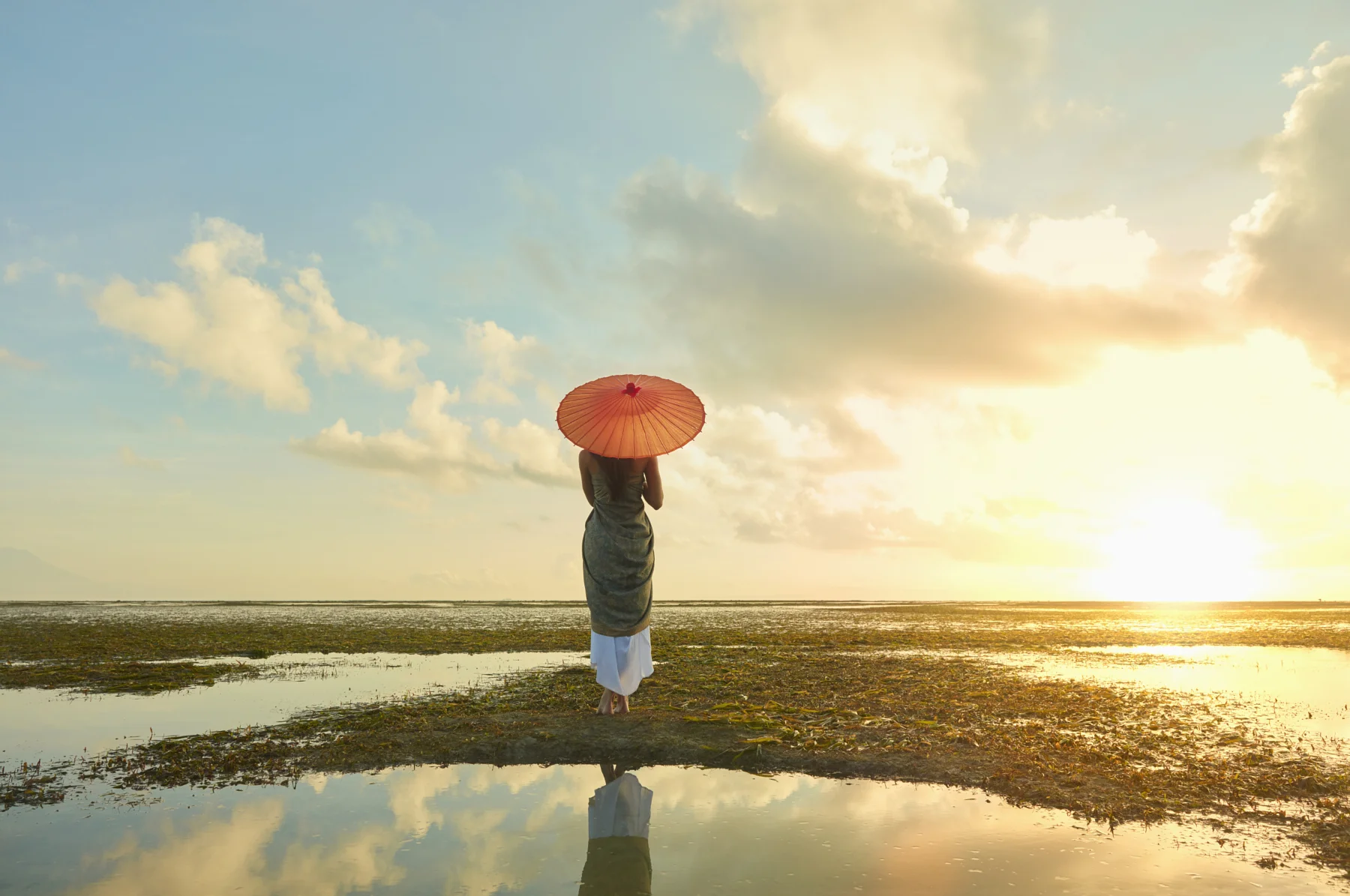 stock-photo-pacific-islander-woman-with-parasol-in-rice-paddy-156618665.jpg