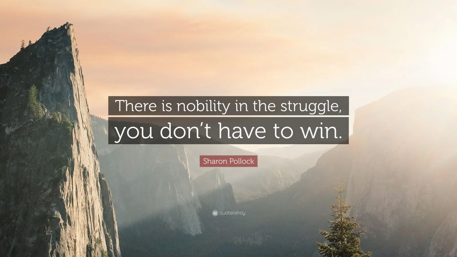 355069-Sharon-Pollock-Quote-There-is-nobility-in-the-struggle-you-don-t.jpg