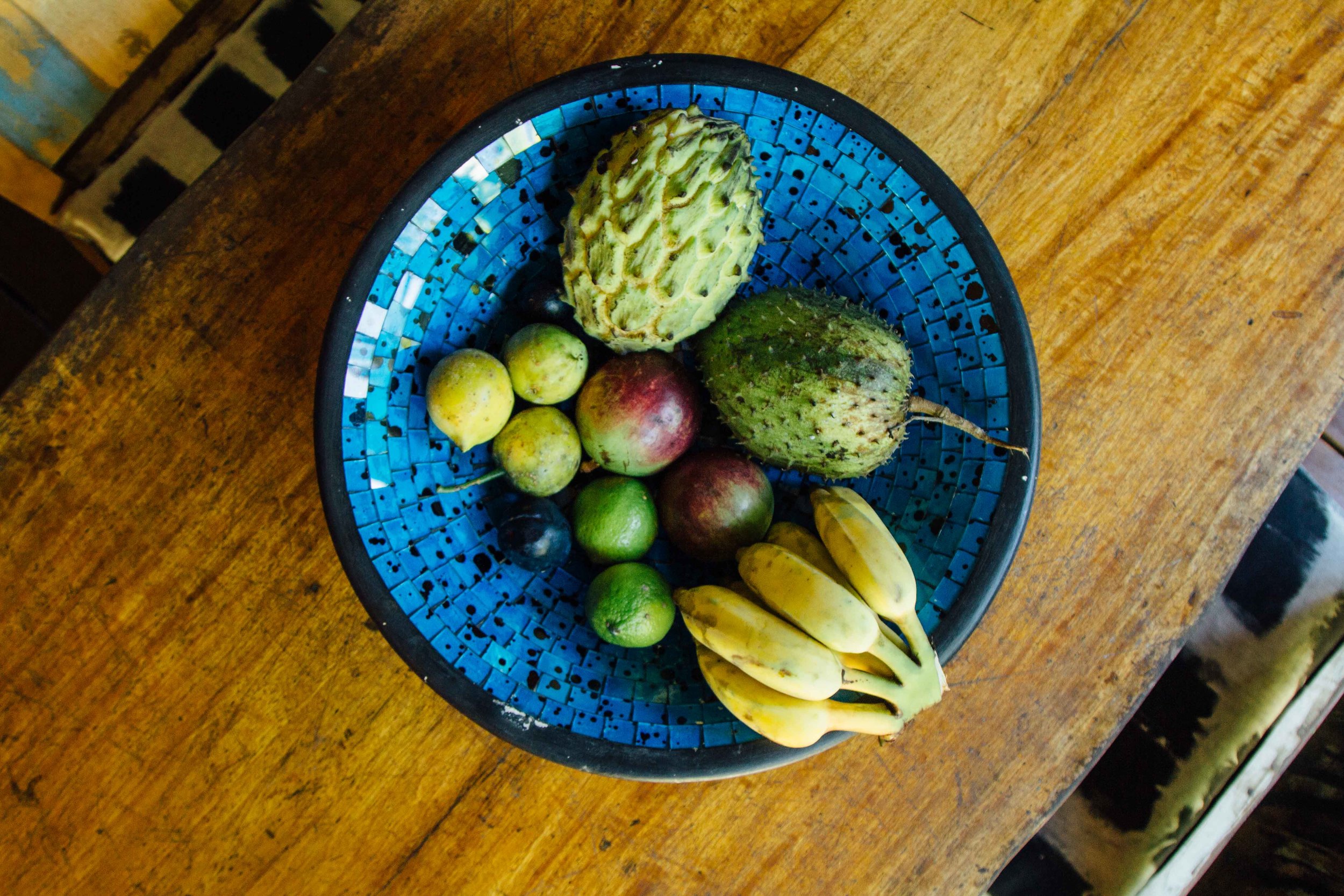 wildwood fruit bow
