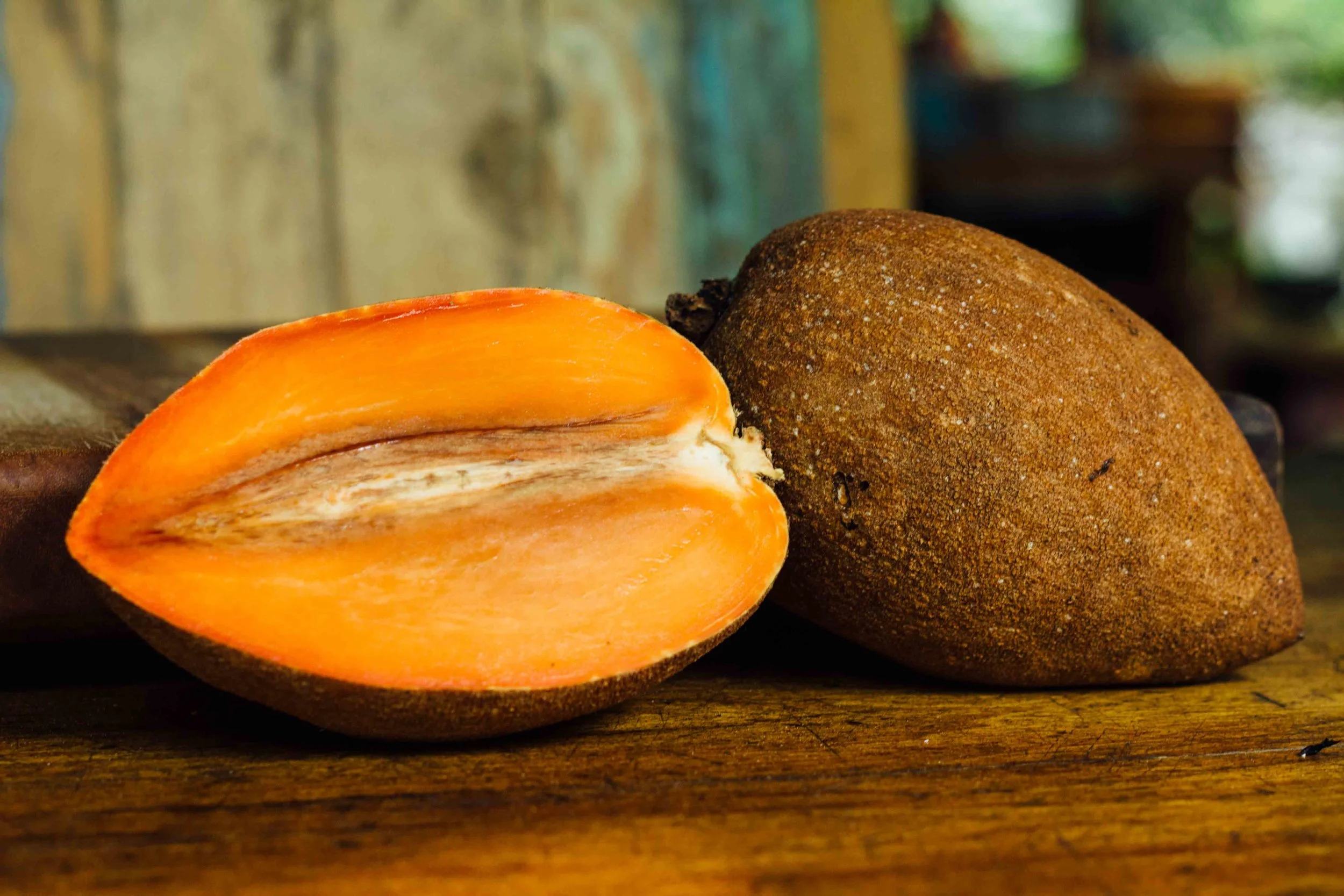 wildwood exotic fruit mamey sapote