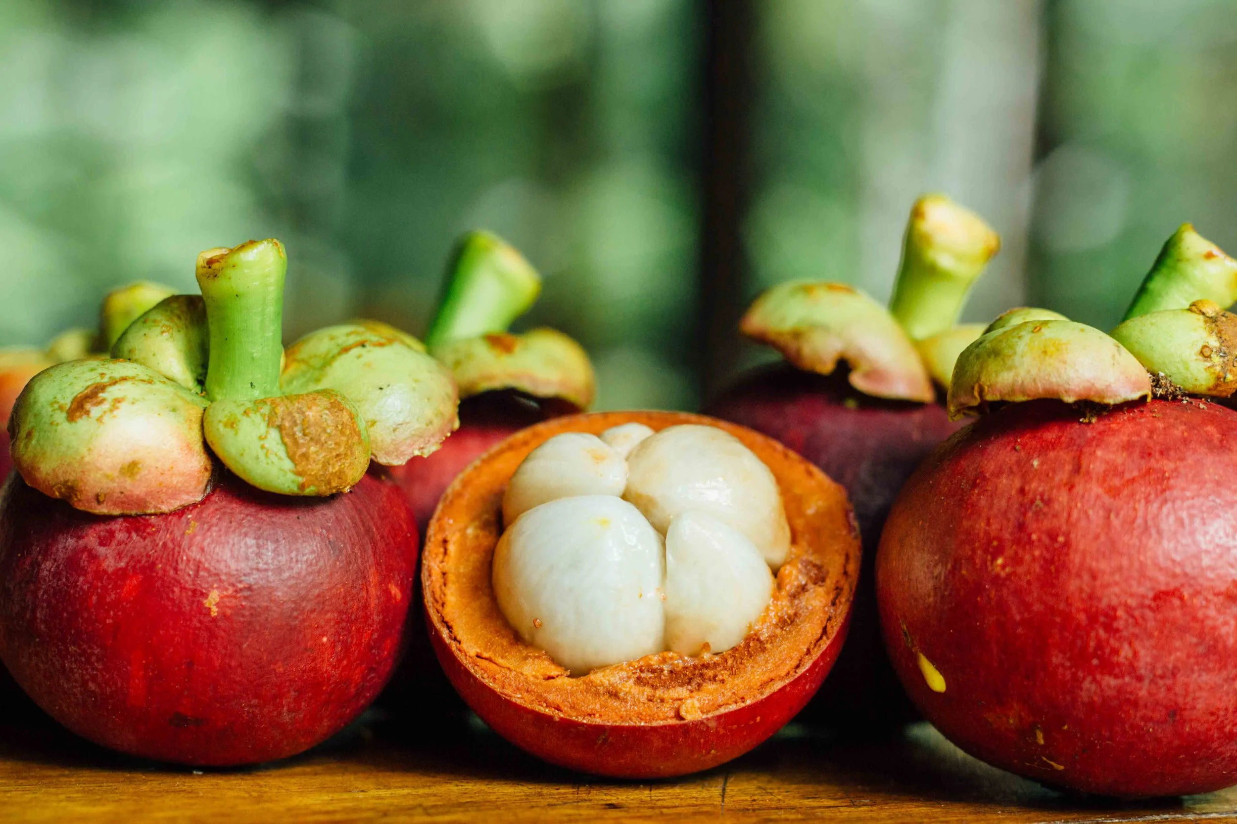 wildwood exotic fruit mangosteen
