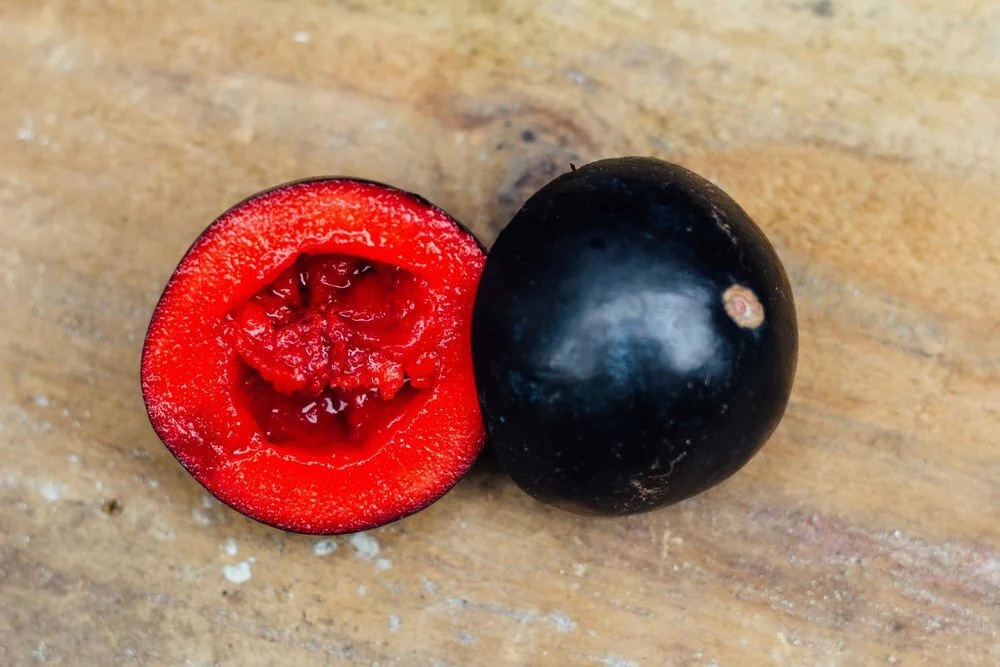 Davidson Plum