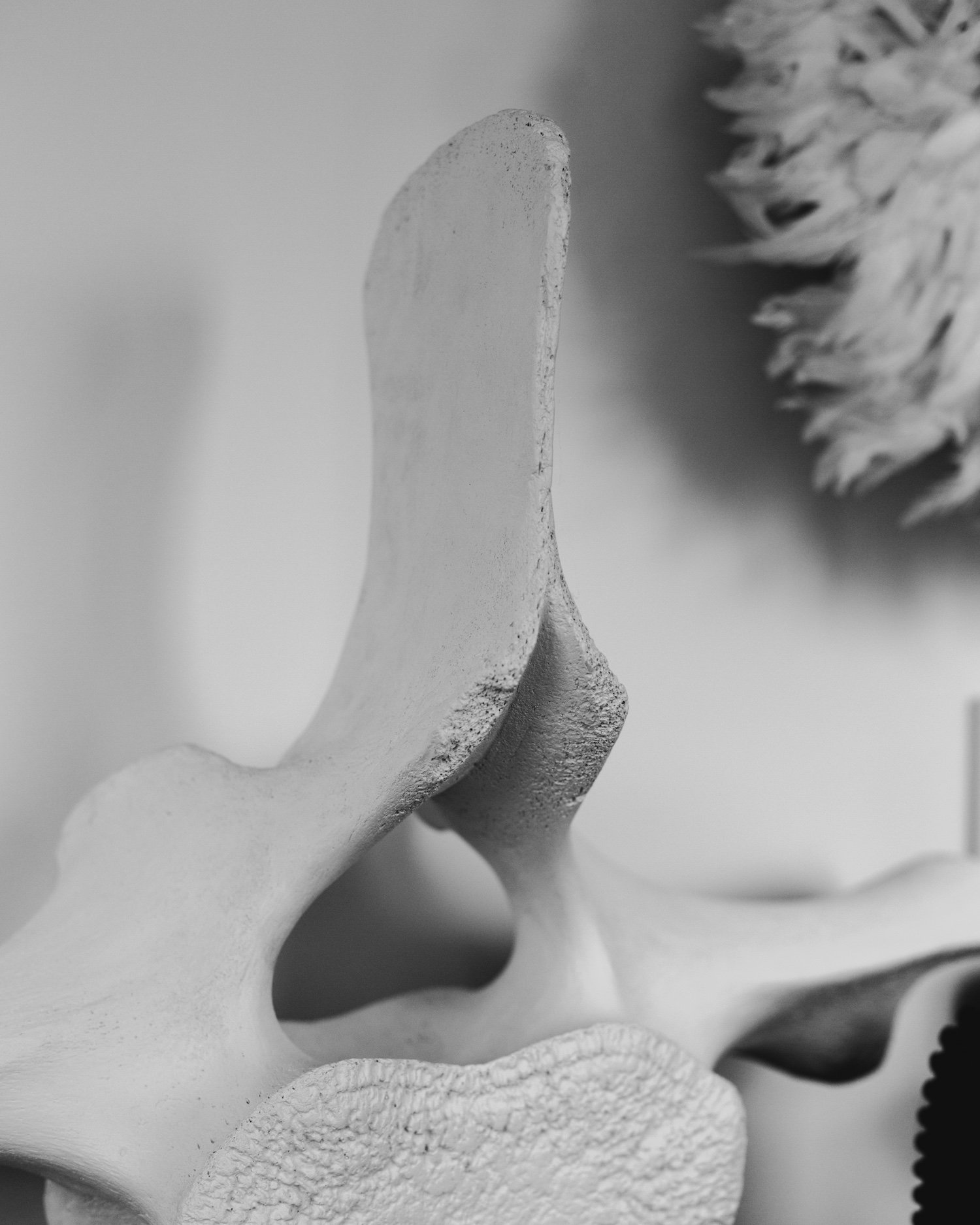 4-20190708-Moe'sHomeCollection-MyMoe'sAleemKassam_.jpg