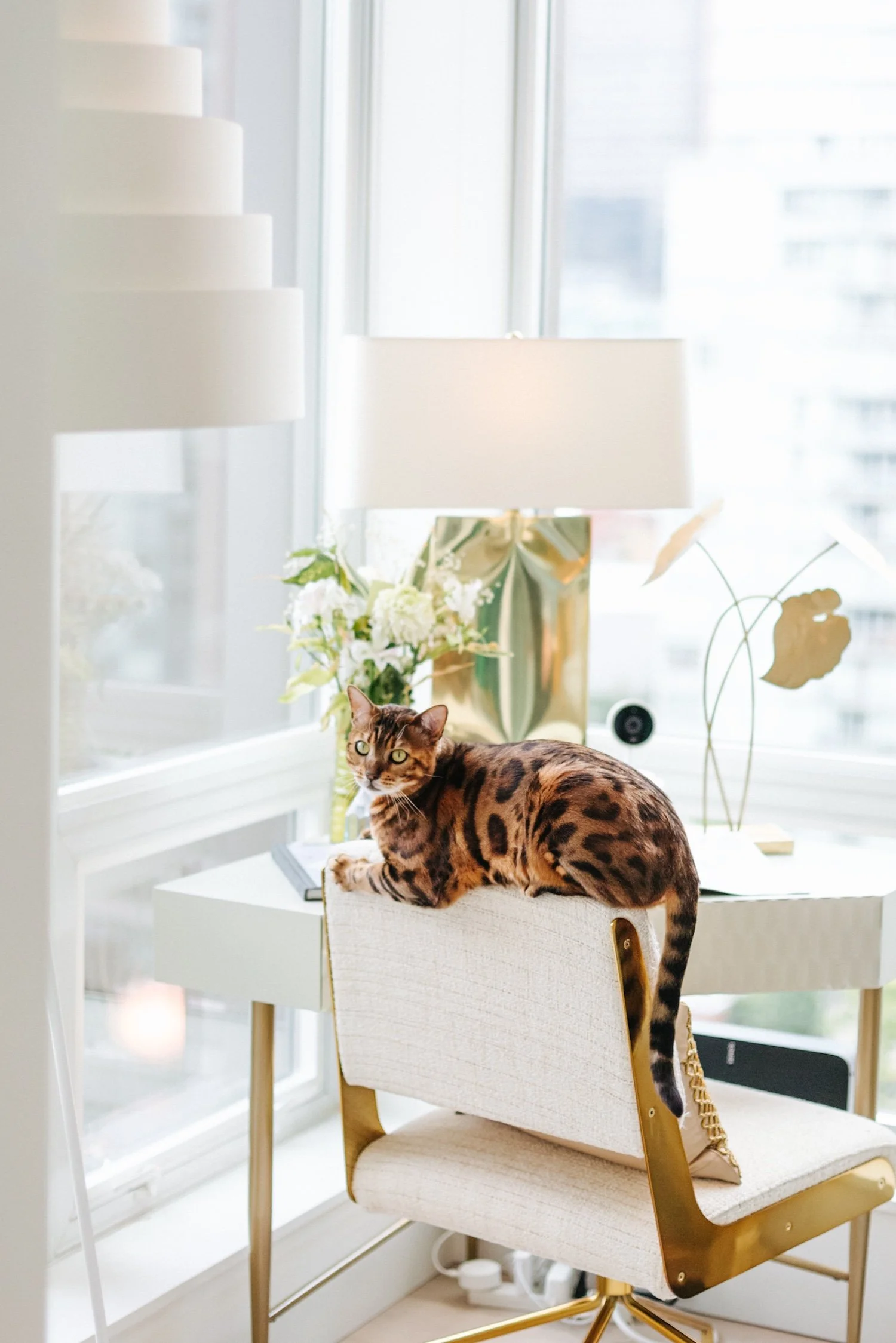 12-20190708-Moe'sHomeCollection-MyMoe'sAleemKassam_.jpg