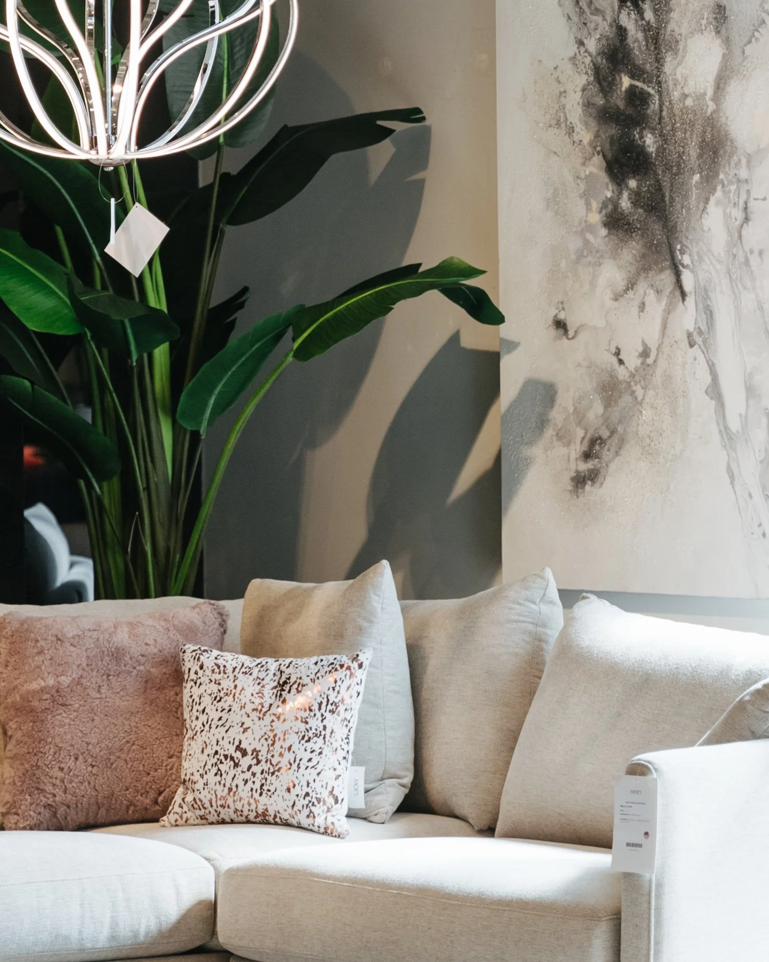 69-20190708-Moe'sHomeCollection-MyMoe'sAleemKassam_.jpg