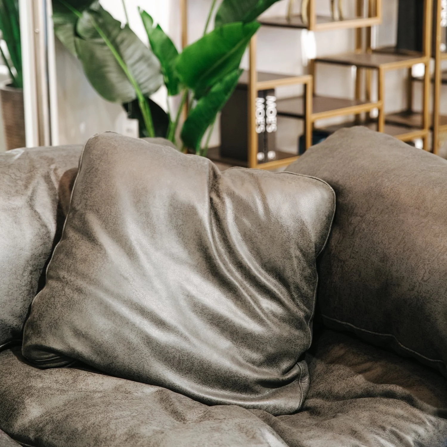 80-20190708-Moe'sHomeCollection-MyMoe'sAleemKassam_.jpg