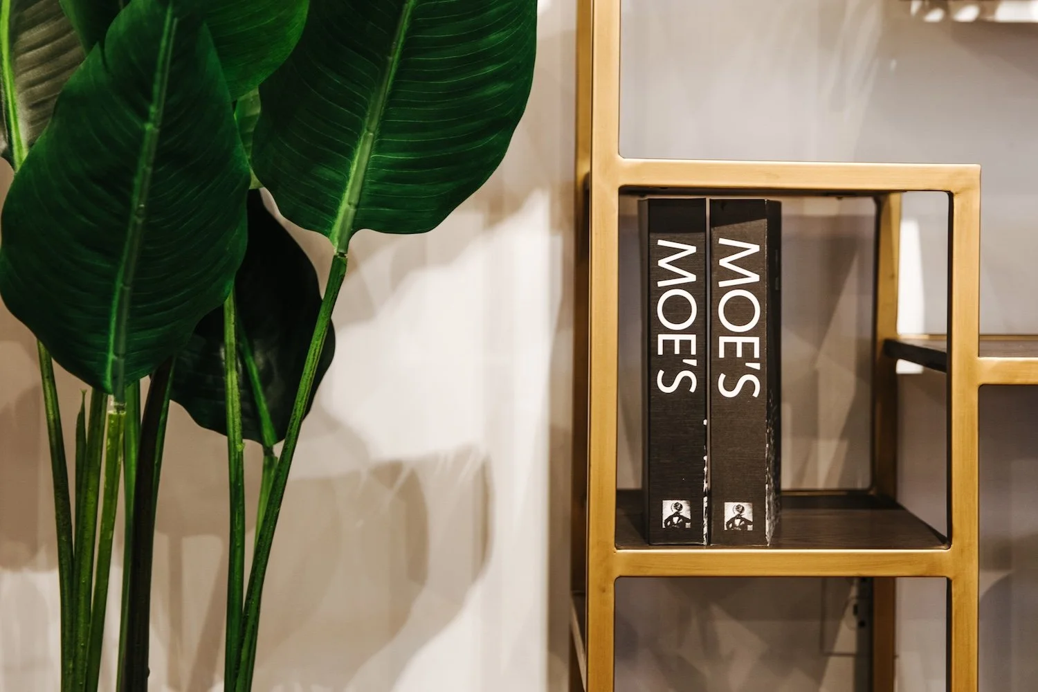 81-20190708-Moe'sHomeCollection-MyMoe'sAleemKassam_.jpg