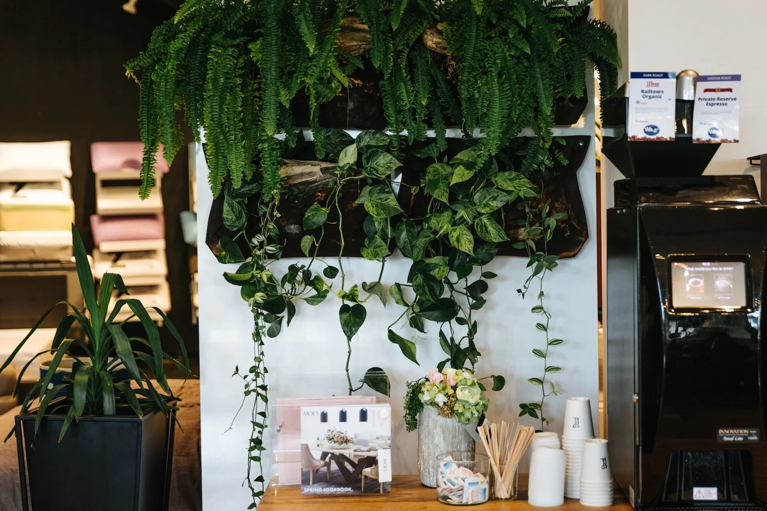 84-20190708-Moe'sHomeCollection-MyMoe'sAleemKassam_.jpg