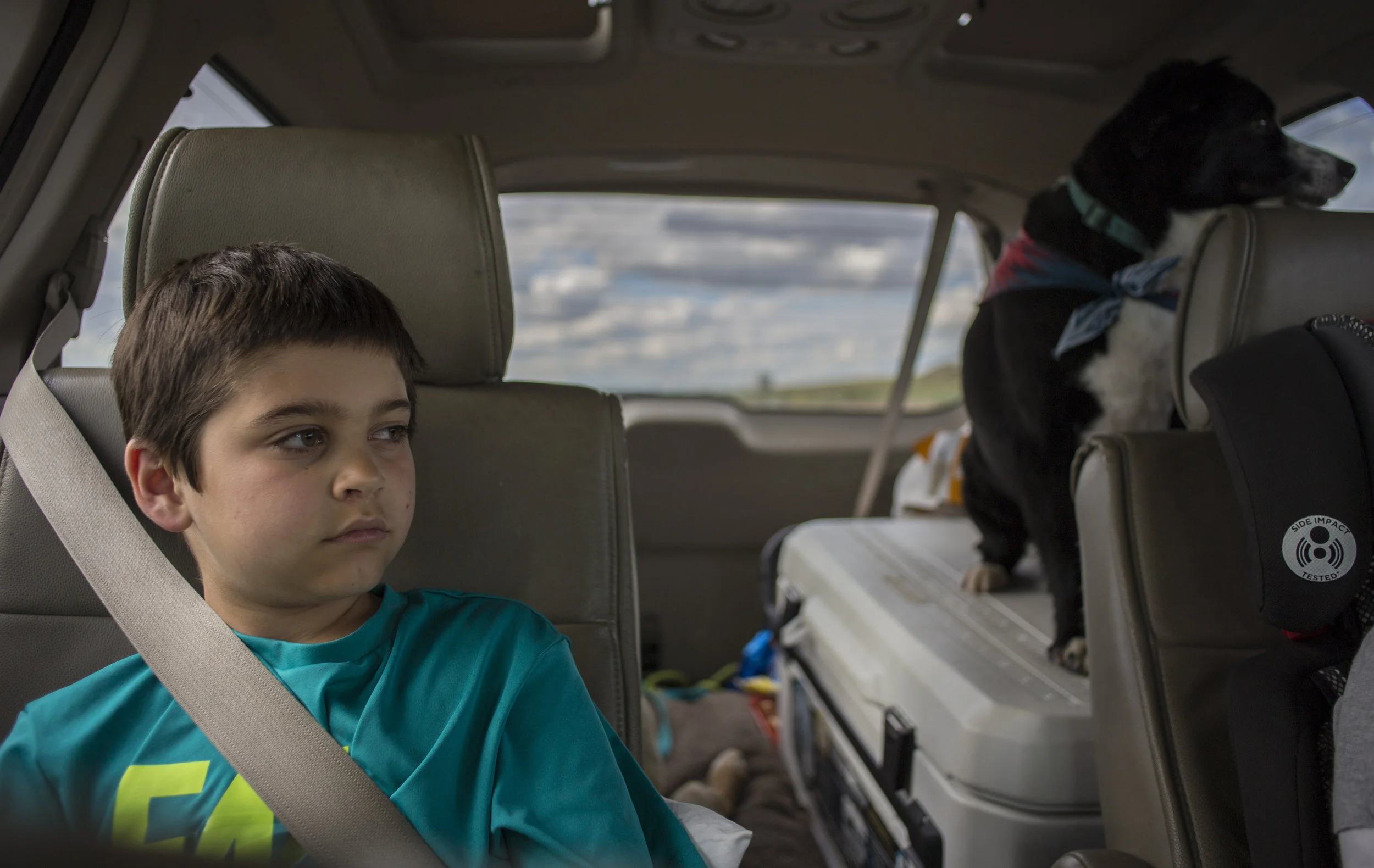  Maddox, wakes up from a snooze somewhere on the edge of Eastern Oregon during his move to Milwaukee, WI. 