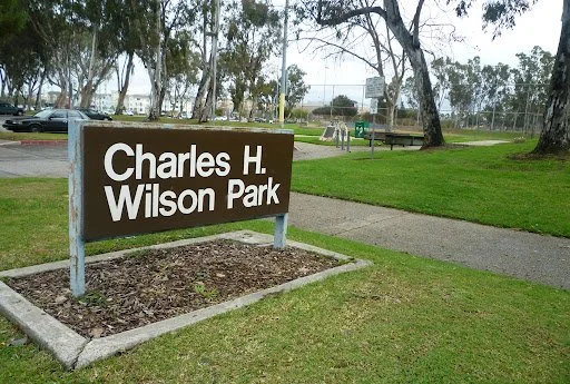 Wilson Park Clean-up