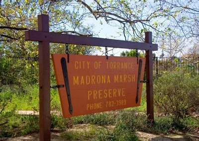 Make a Difference Day Volunteer