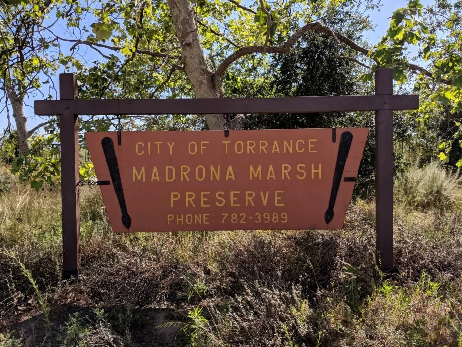 Madrona Marsh Habitat Restoration