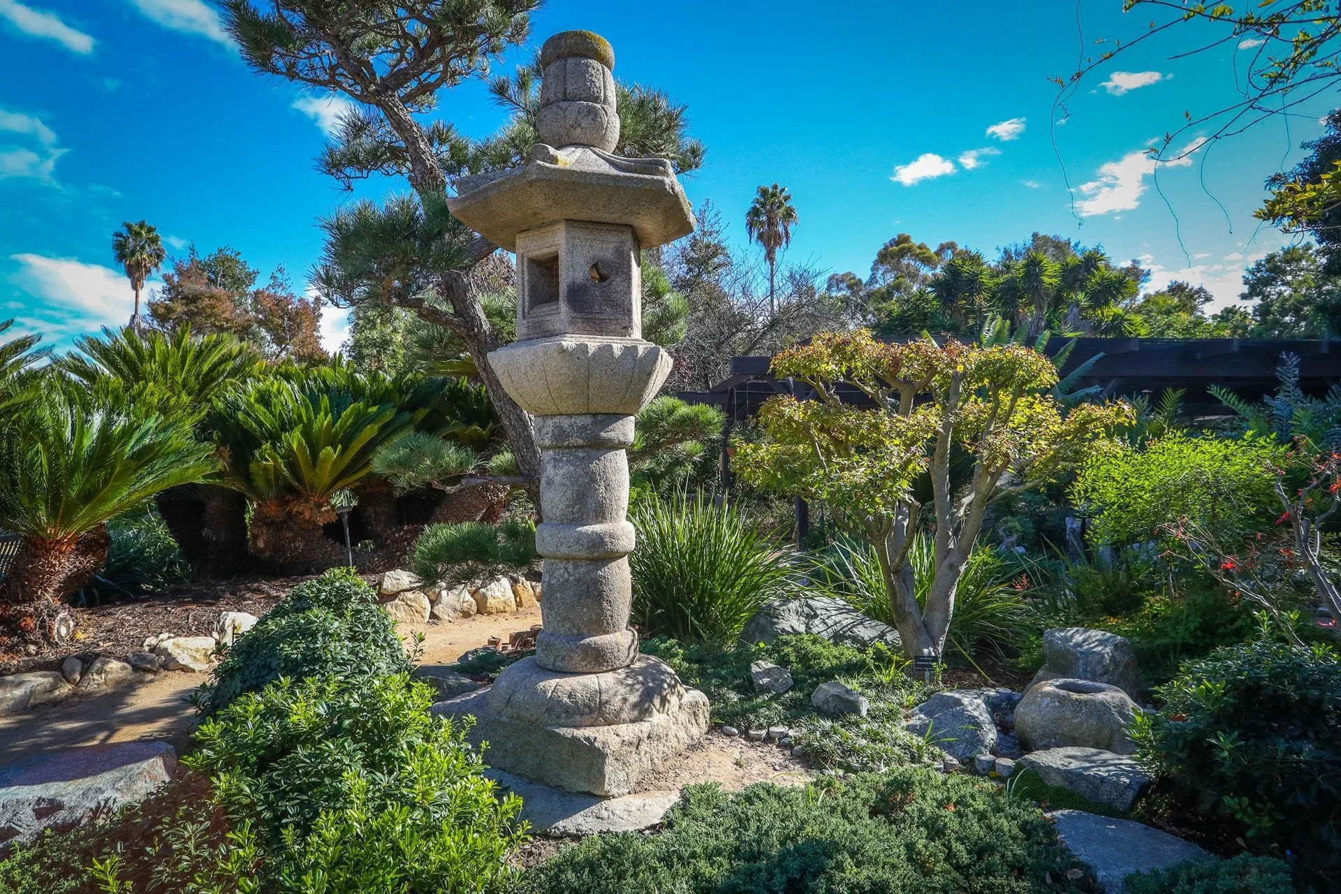 South Coast Botanic Garden Rose Garden Winterization Party