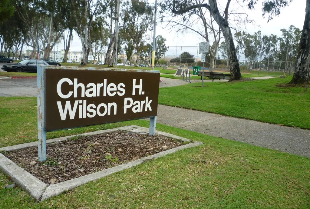 Wilson Park Cleanup