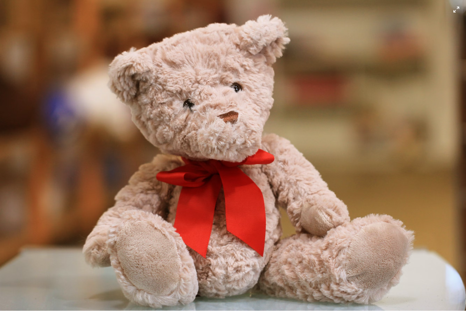 Operation Teddy Bear